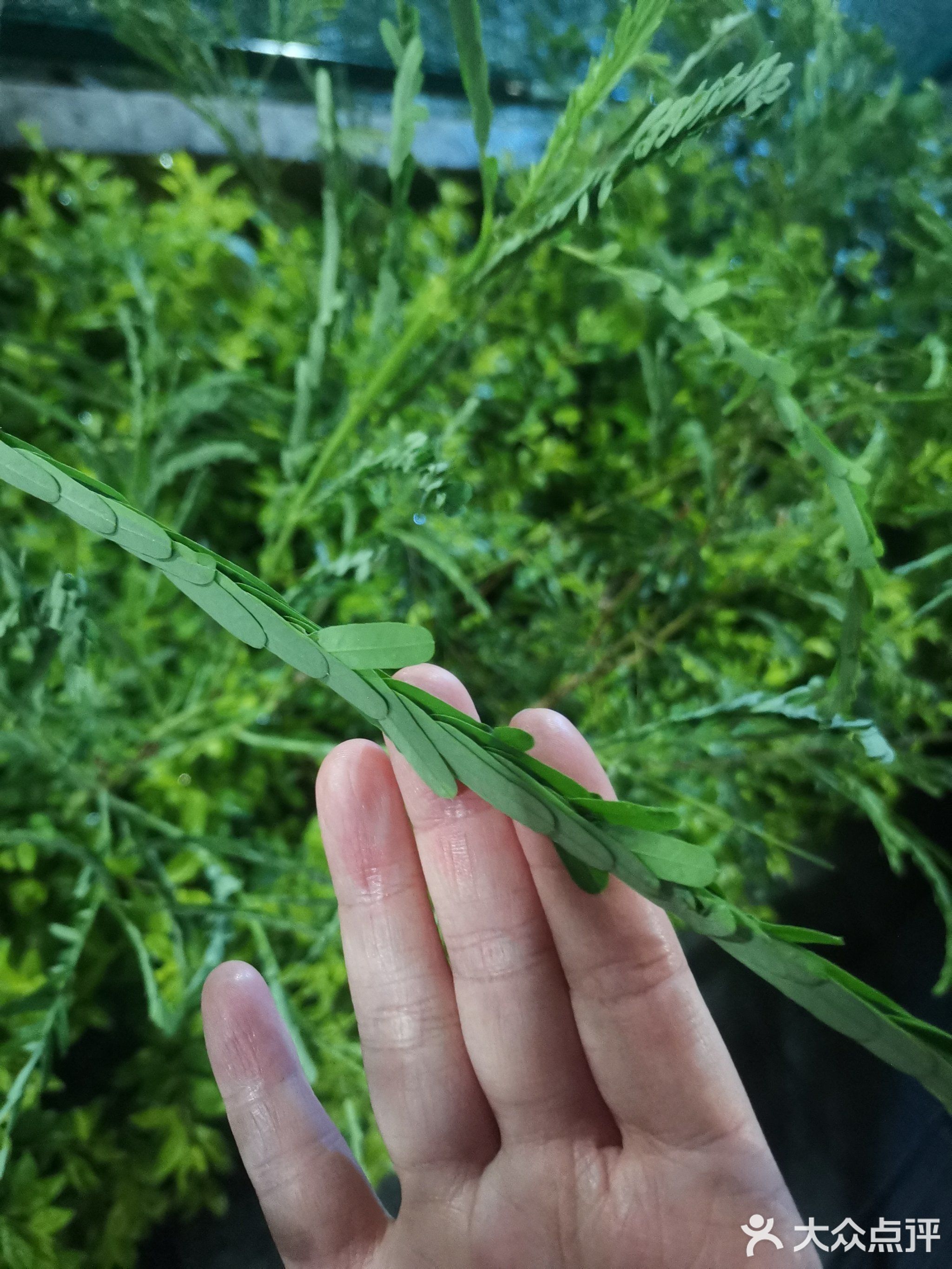 26号足球场