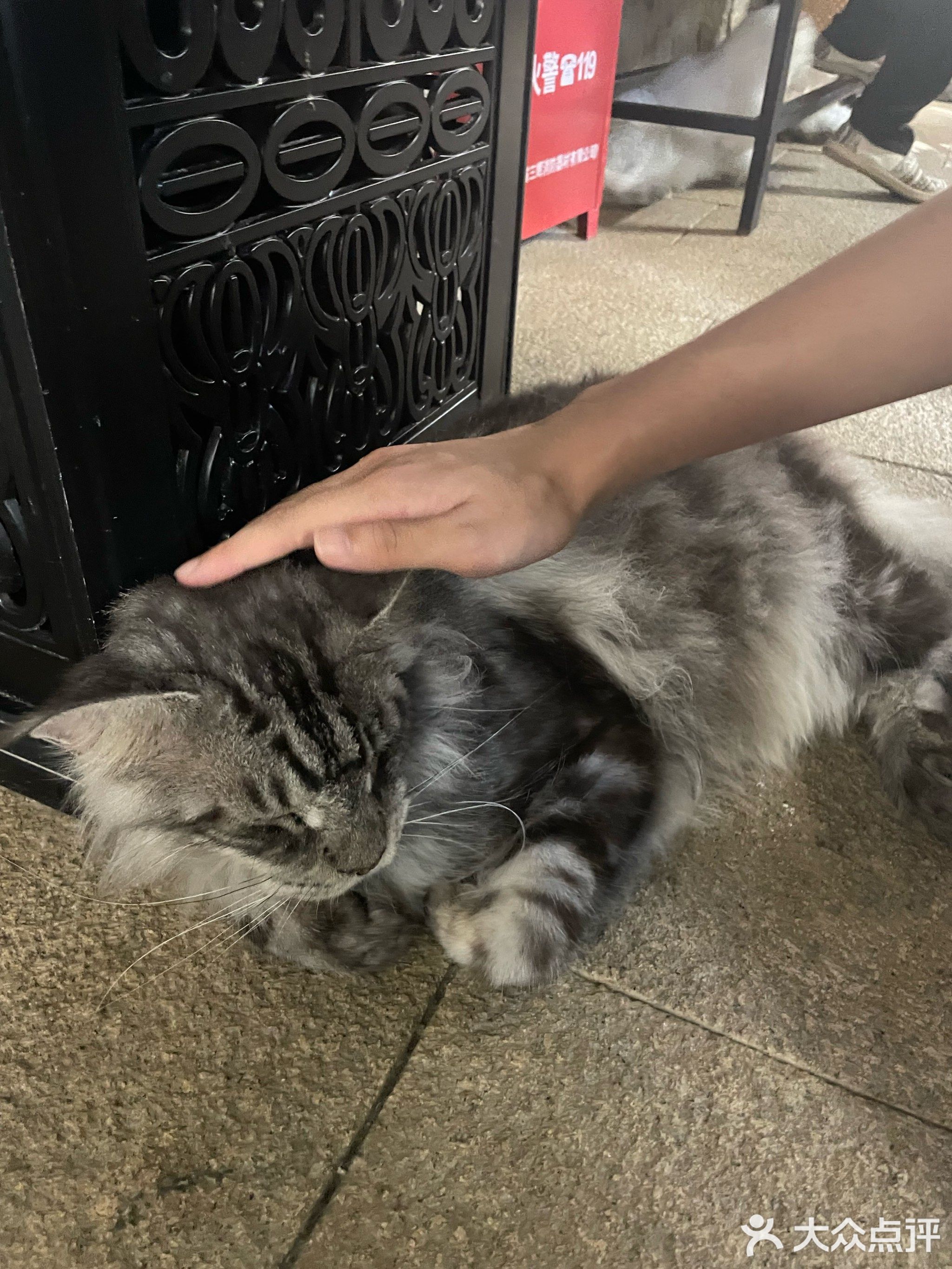 重庆万州烤鱼(定安店)