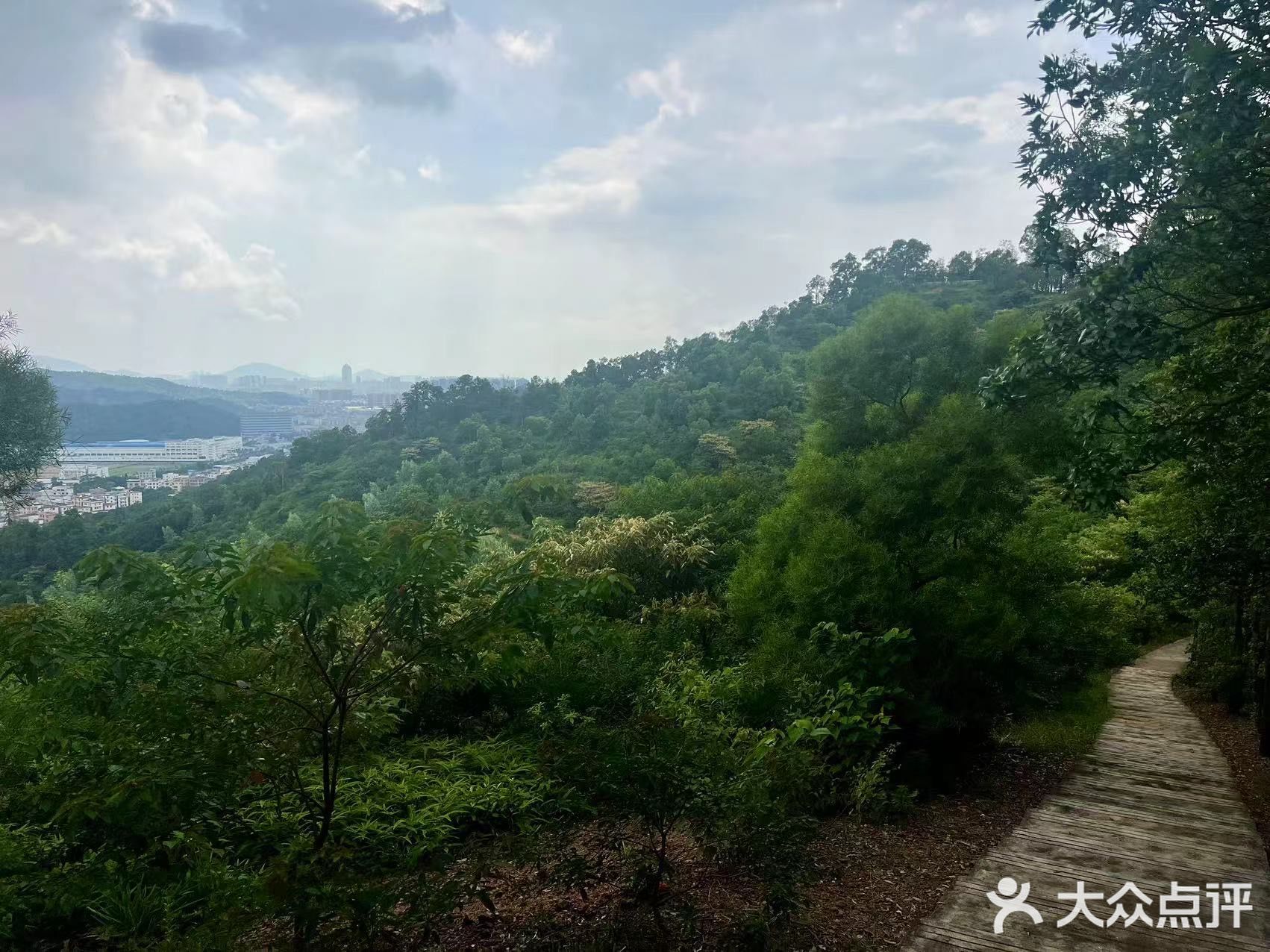 尖角岭森林公园