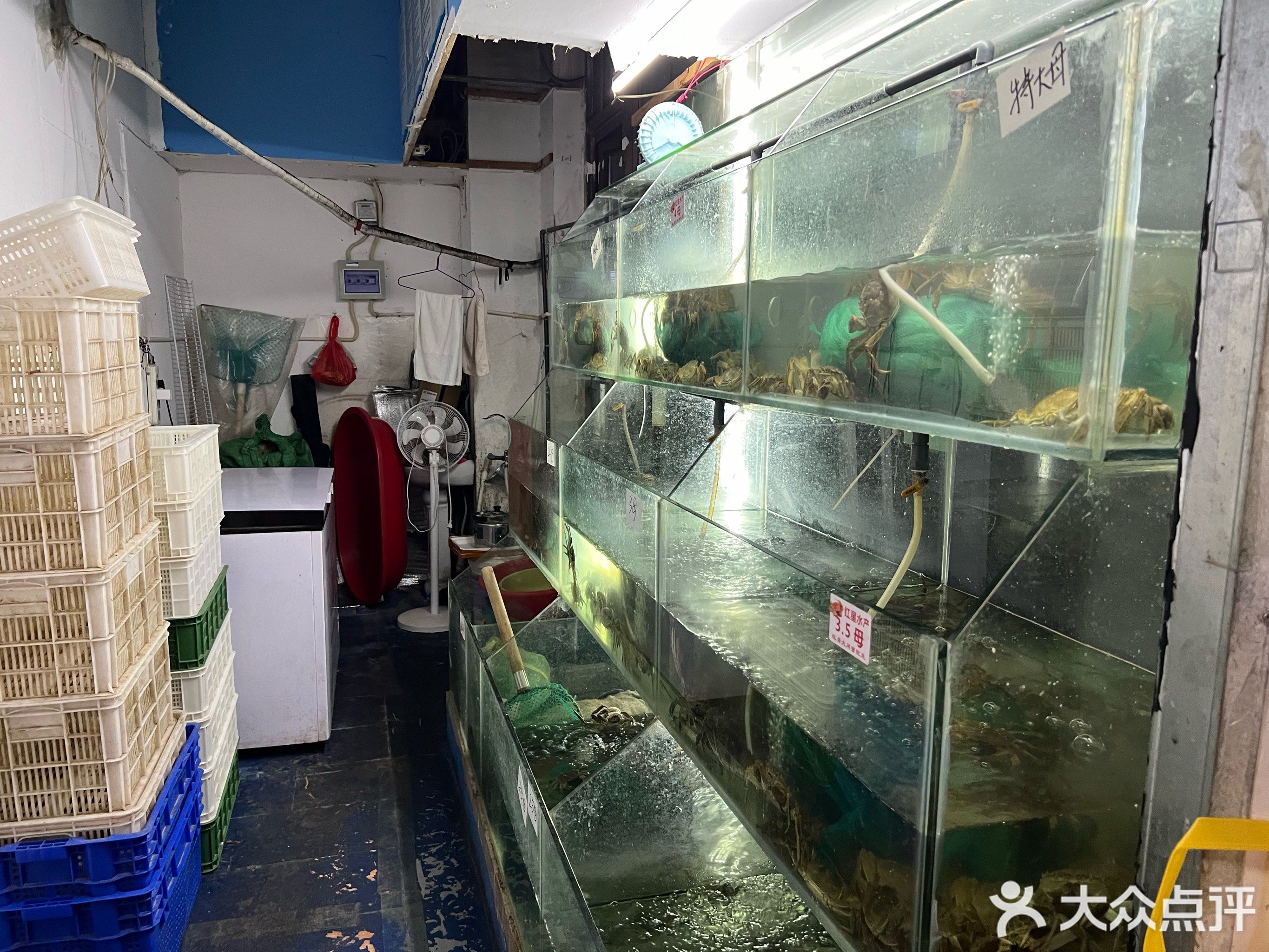 童记精品蟹行