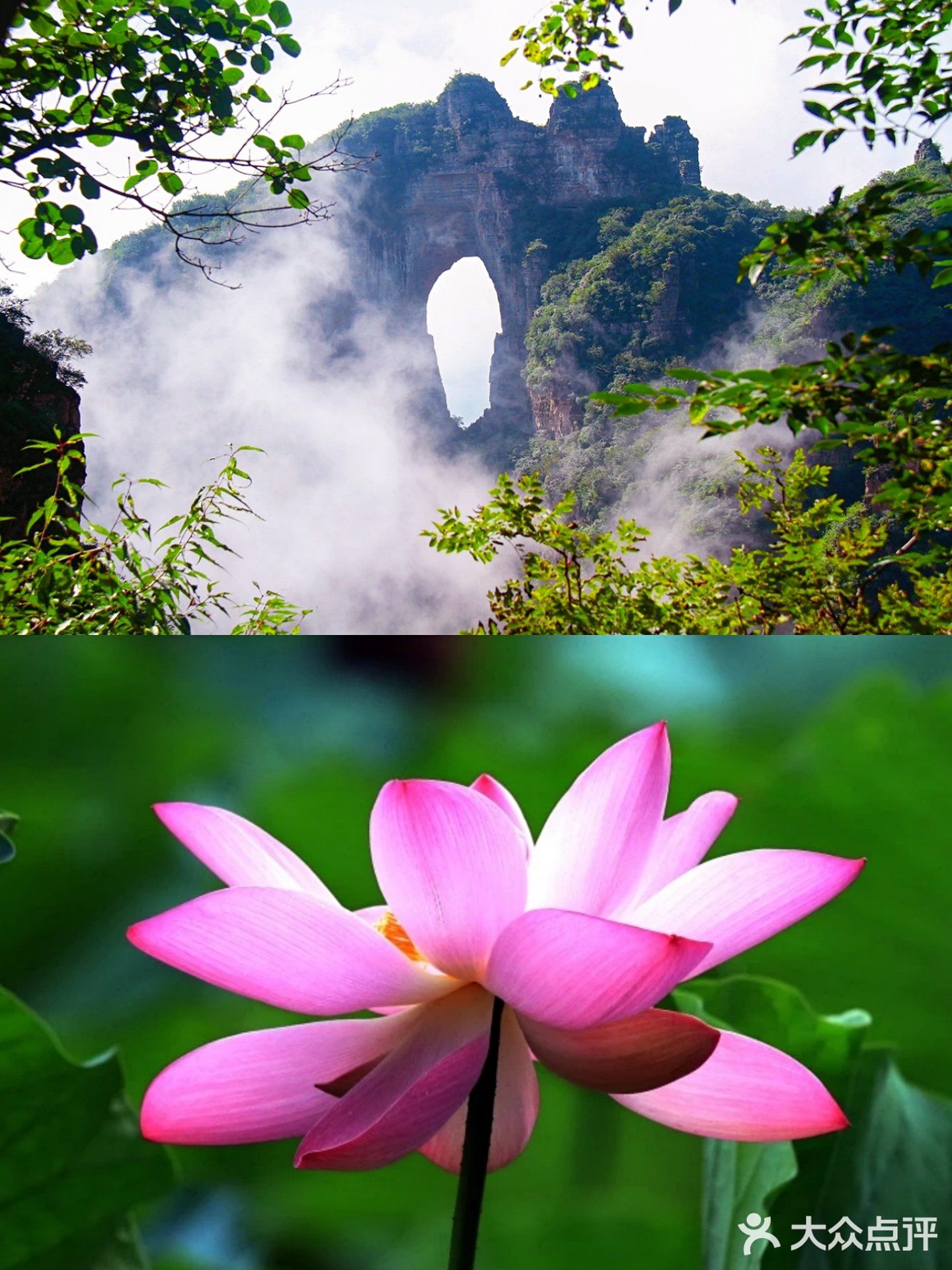 橙子夜市(清真寺小区店)