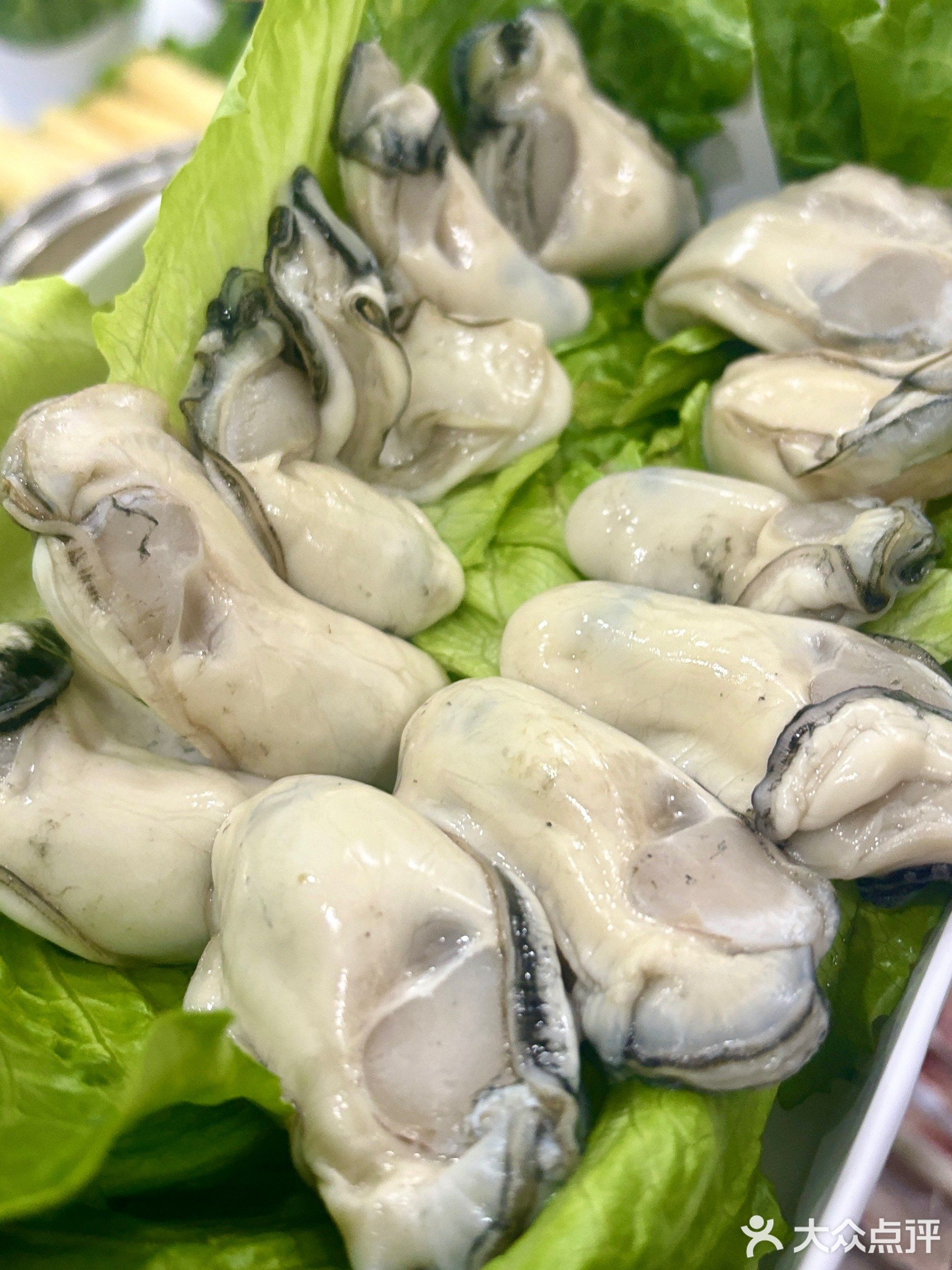 小度鸡煲(城南店)