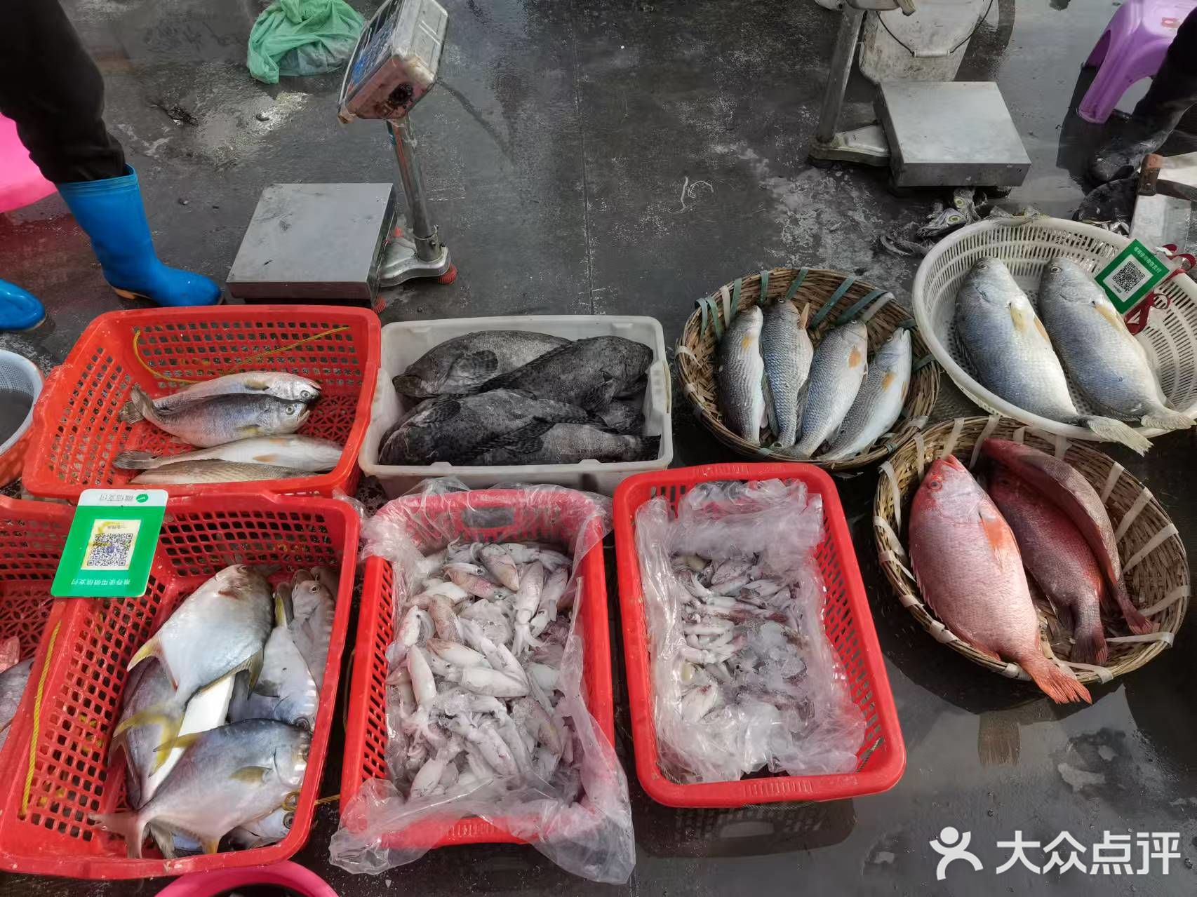 新港西街海鲜加工广场