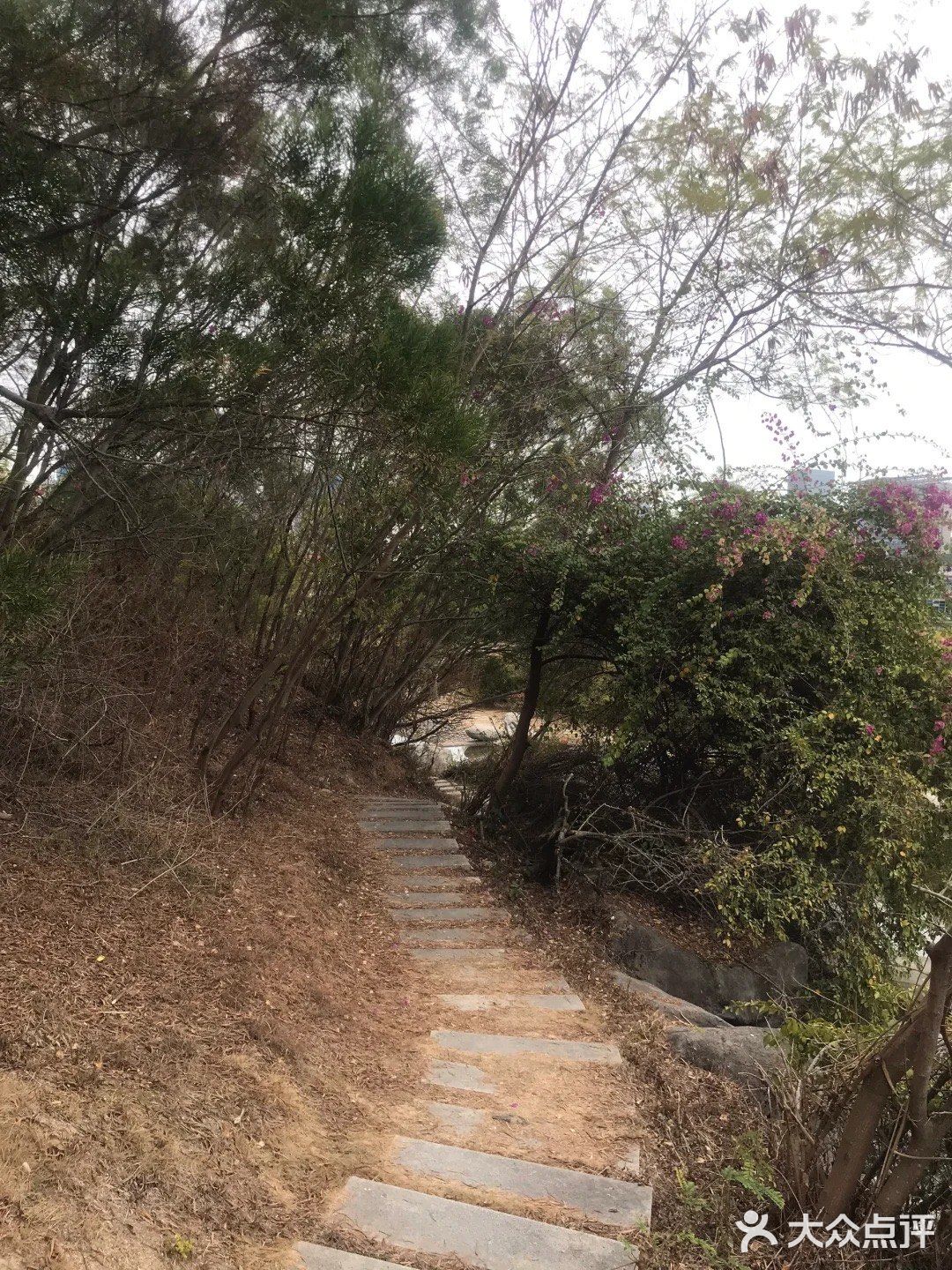 自然地物-城市营地