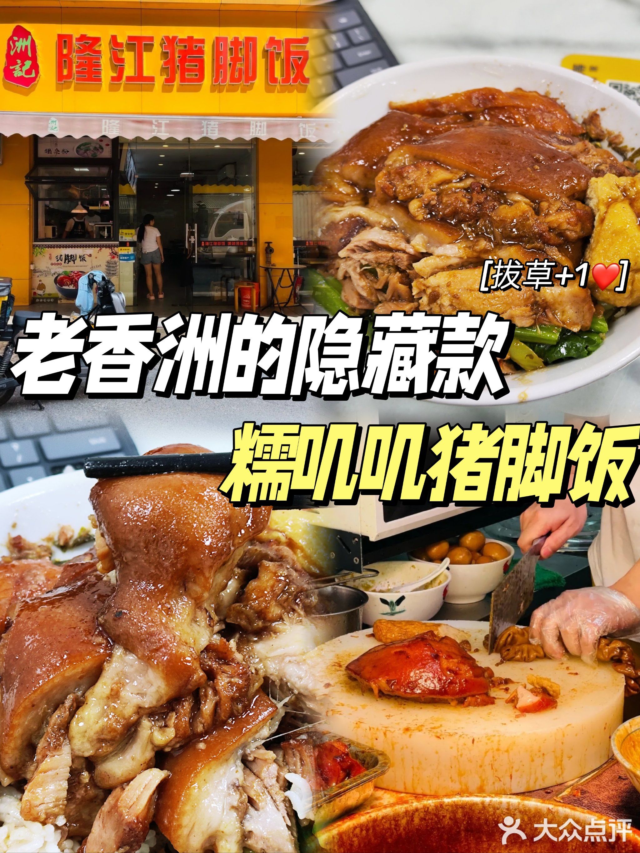 洲记隆江猪脚饭(朝阳总店)