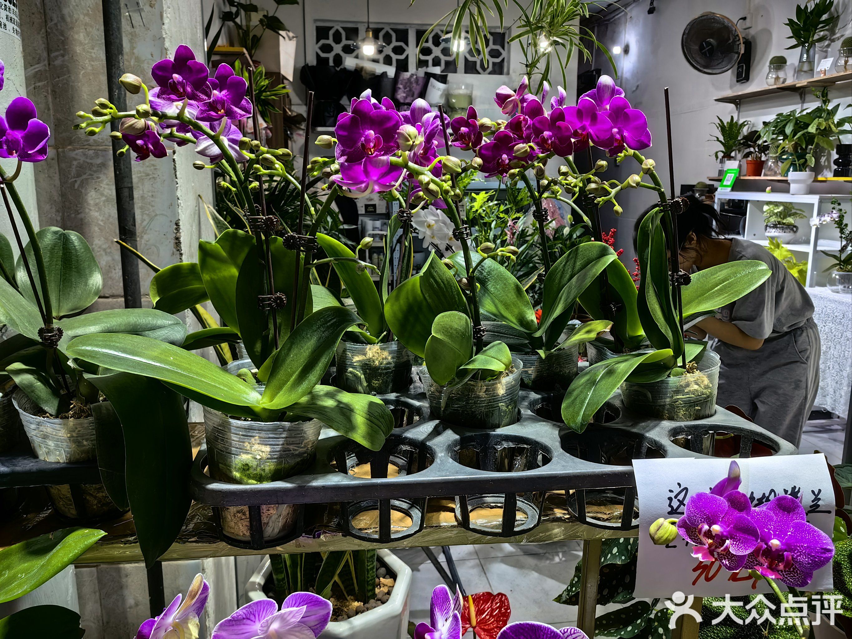 千千鲜花批发(七星路一巷店)