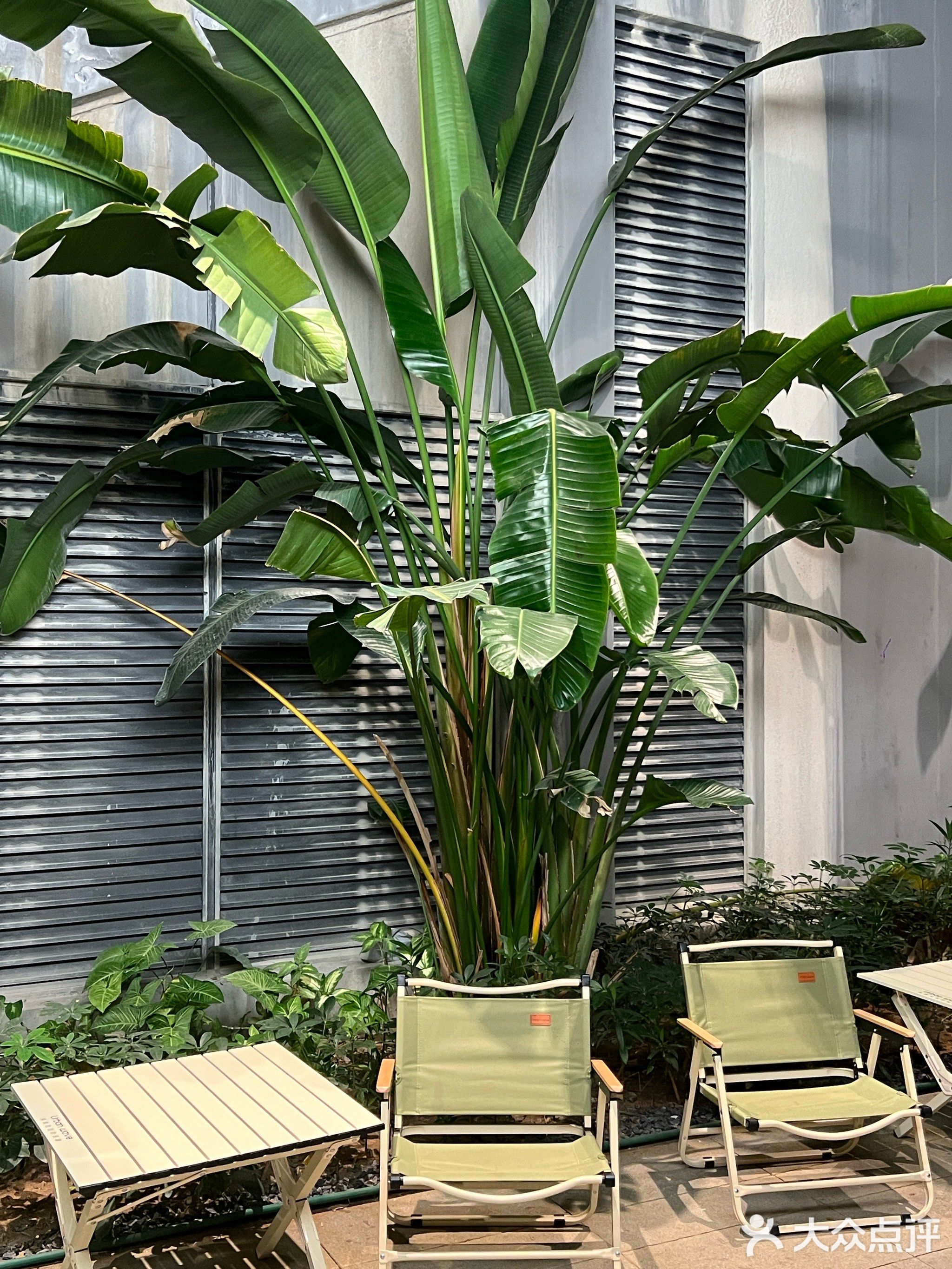薄荷小馆(大悦城店)