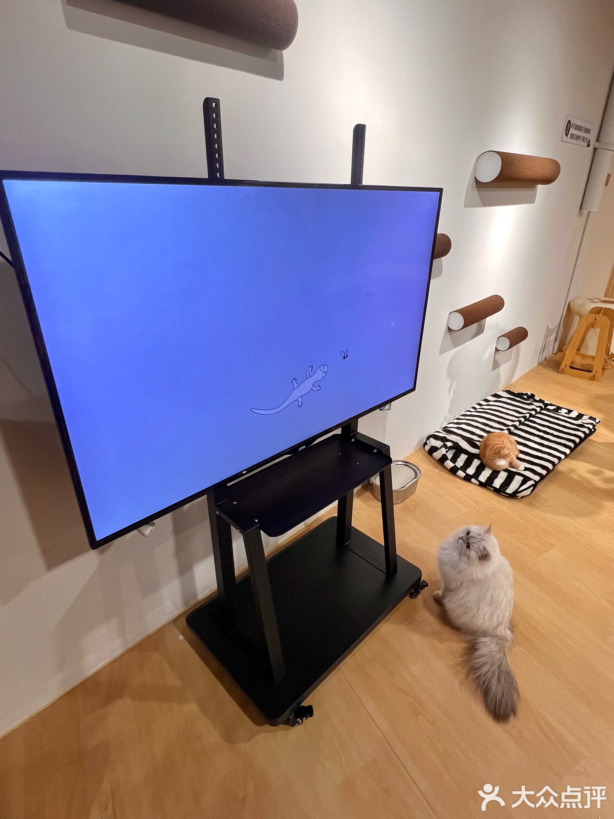 B&C·pet·wonderland·人宠综合社区(富逸城TopPark岐濠路店)