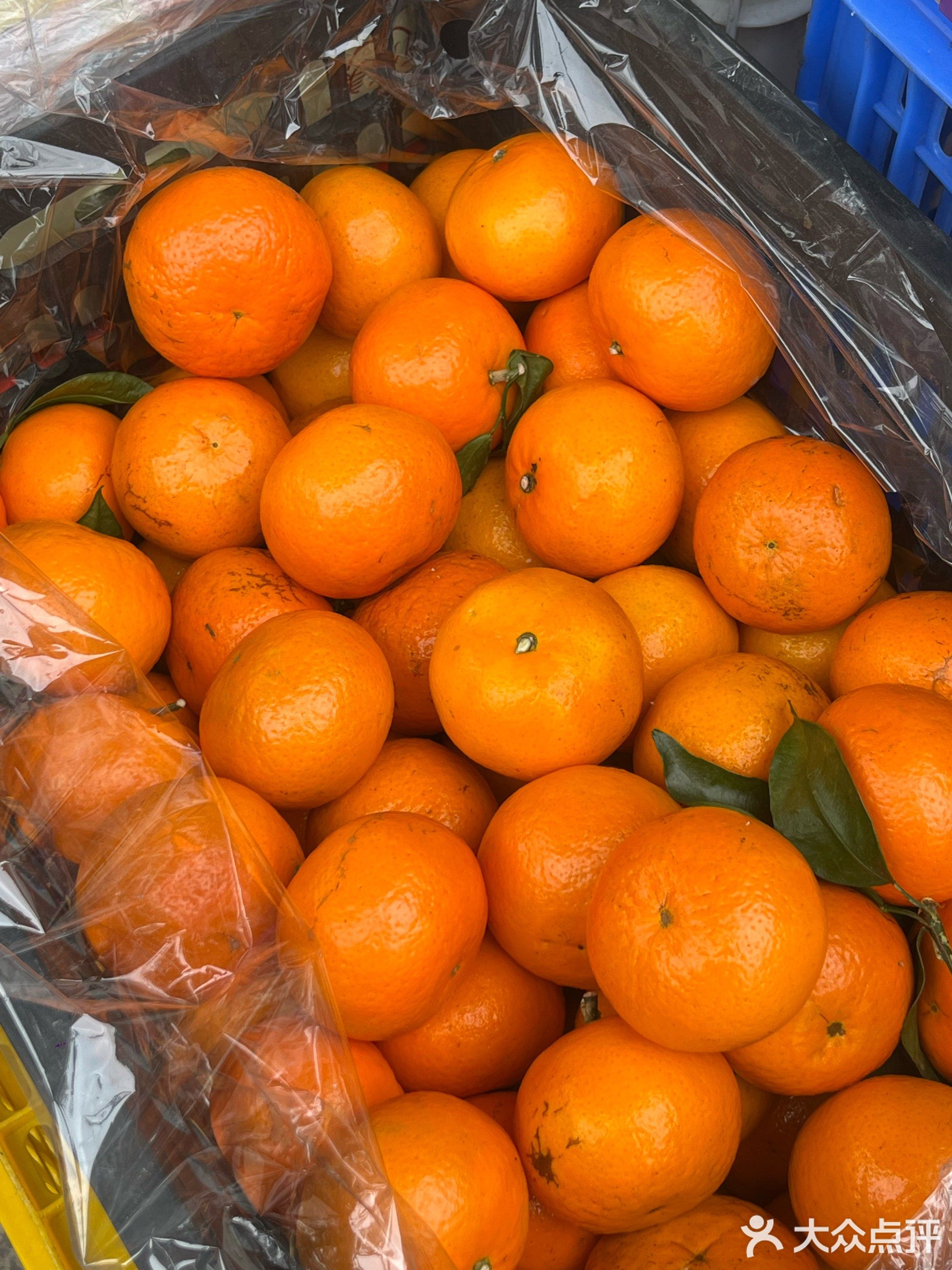 湛江霞山区勤农鲜果水果店(赤坎店)