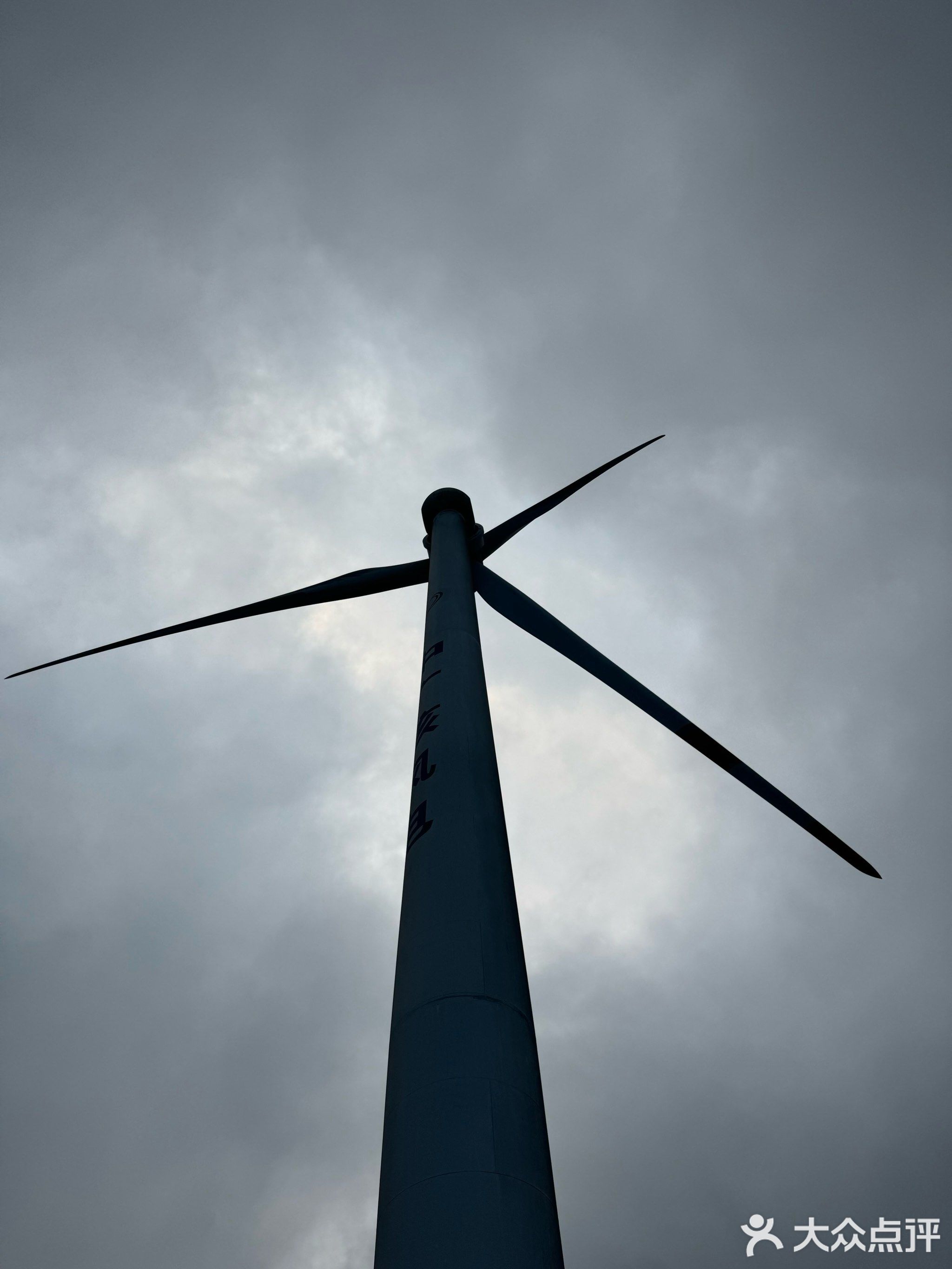 小果缘鲜果零食