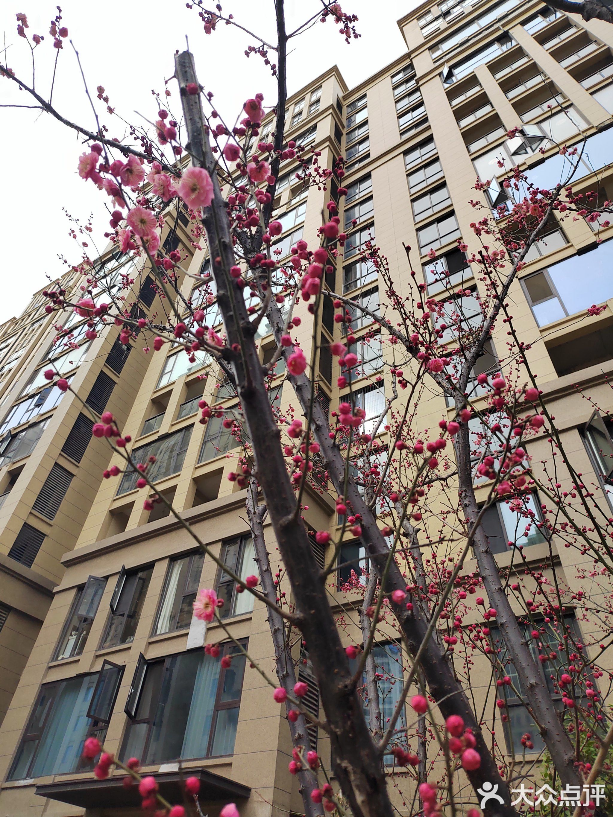 春江朗月