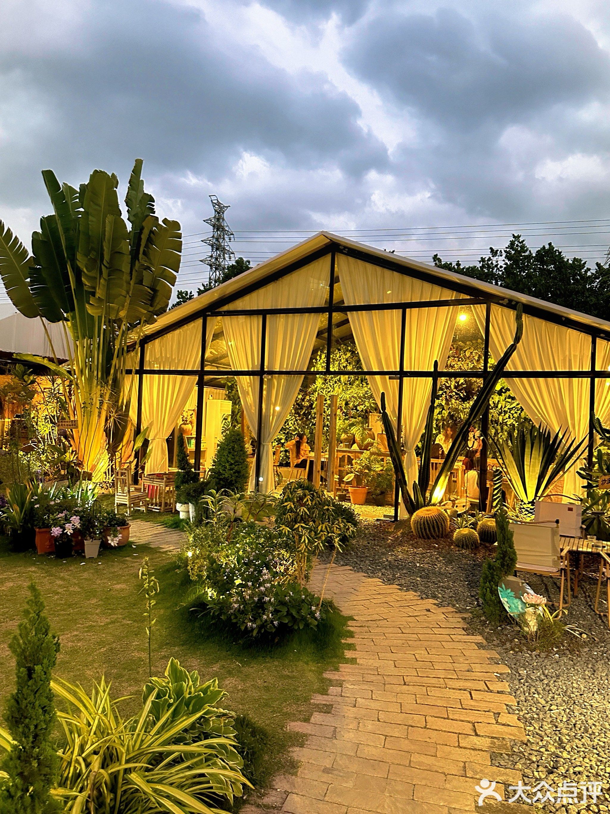 向野而生植物西餐厅·下午茶