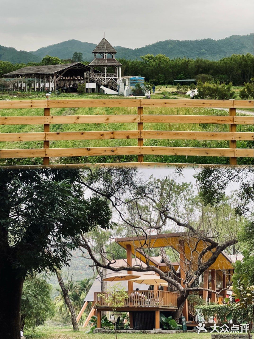 旗溪香草生活农场