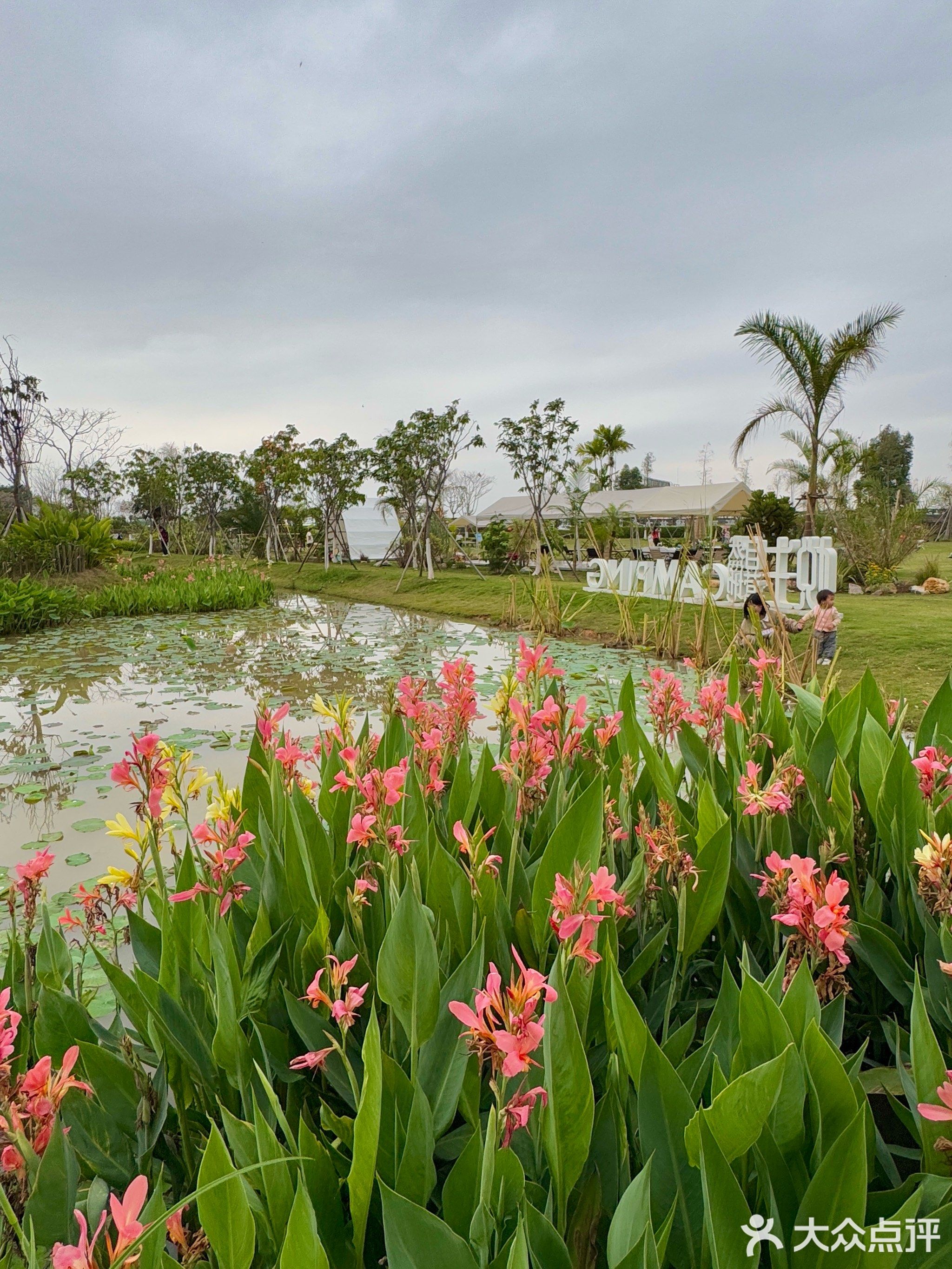 中山悦生自然营地