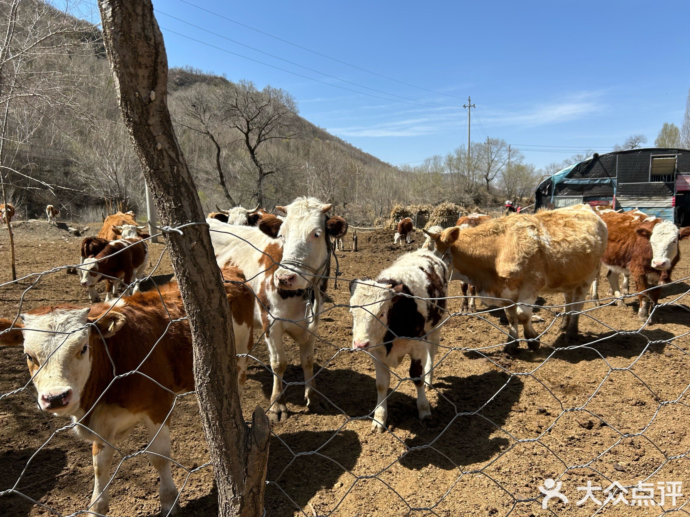 穆友斋(西苑北路店)
