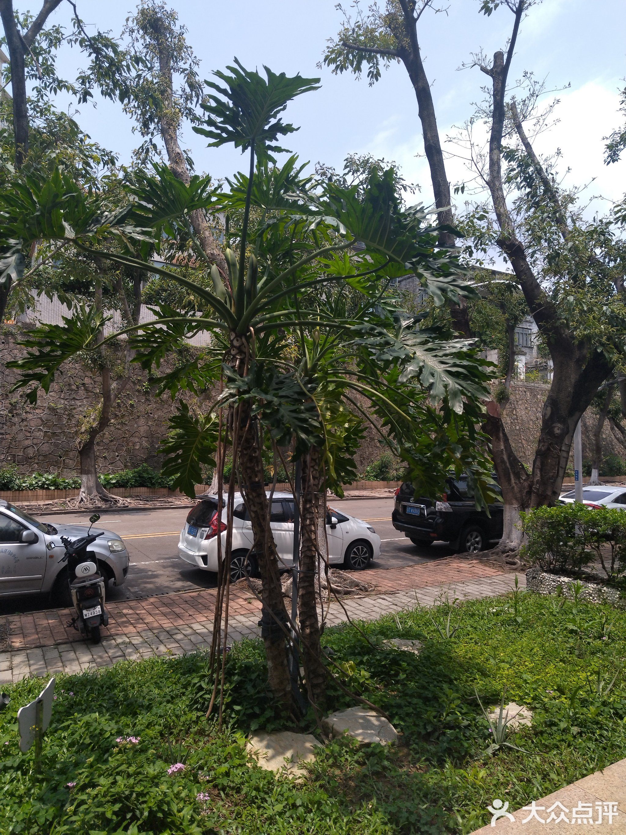 精神中式简餐(高云台店)