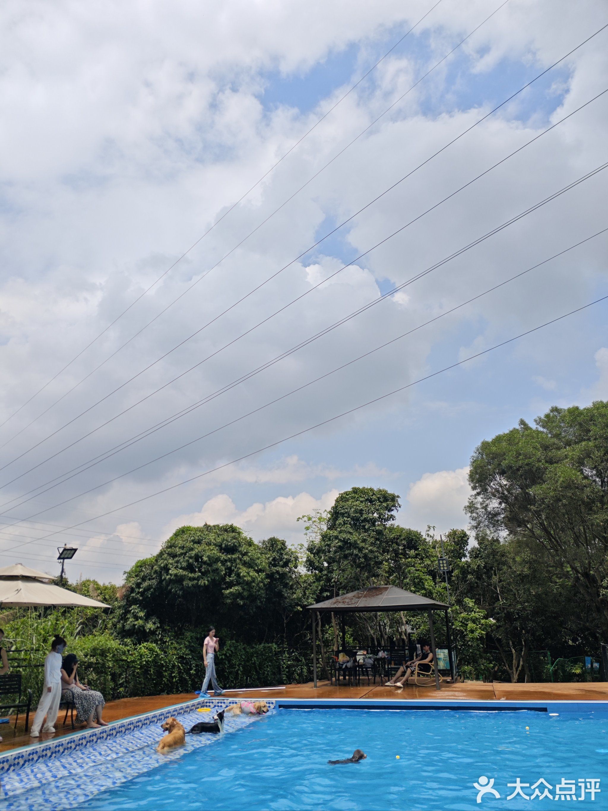 鑫乐源宠物俱乐部