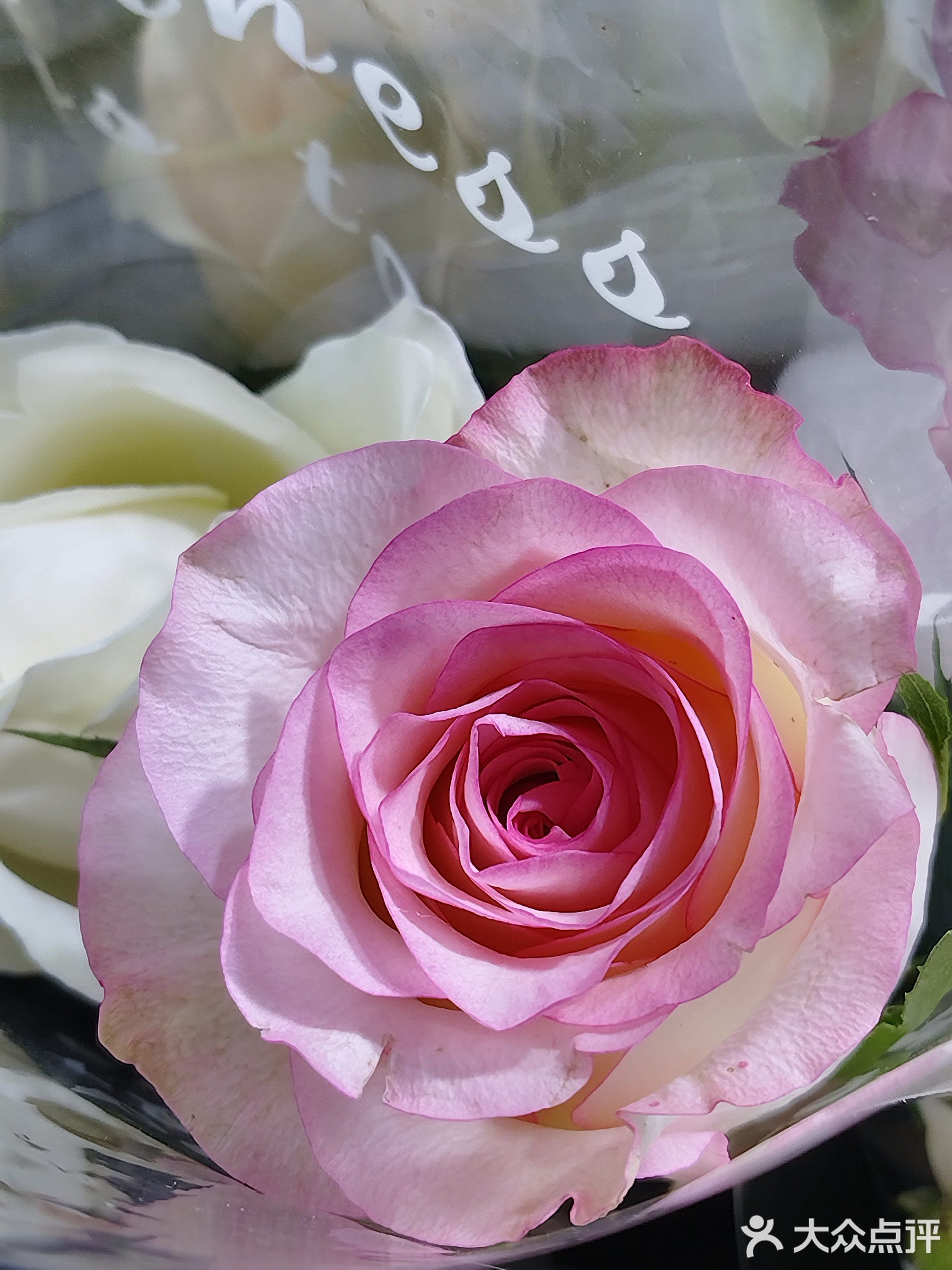 大东海水上项目俱乐部