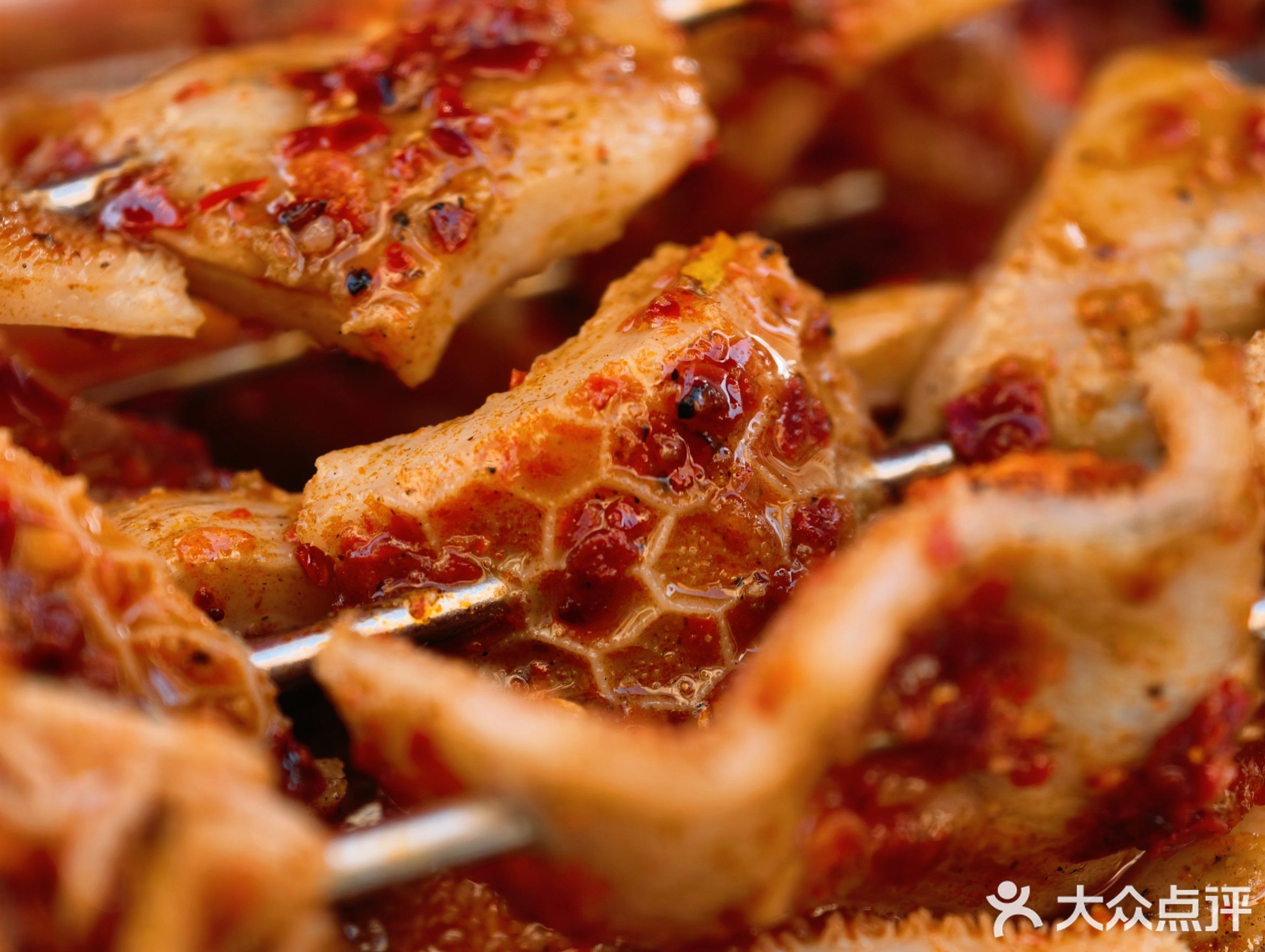 尕马子烤羊肉(瓜州路四分店)