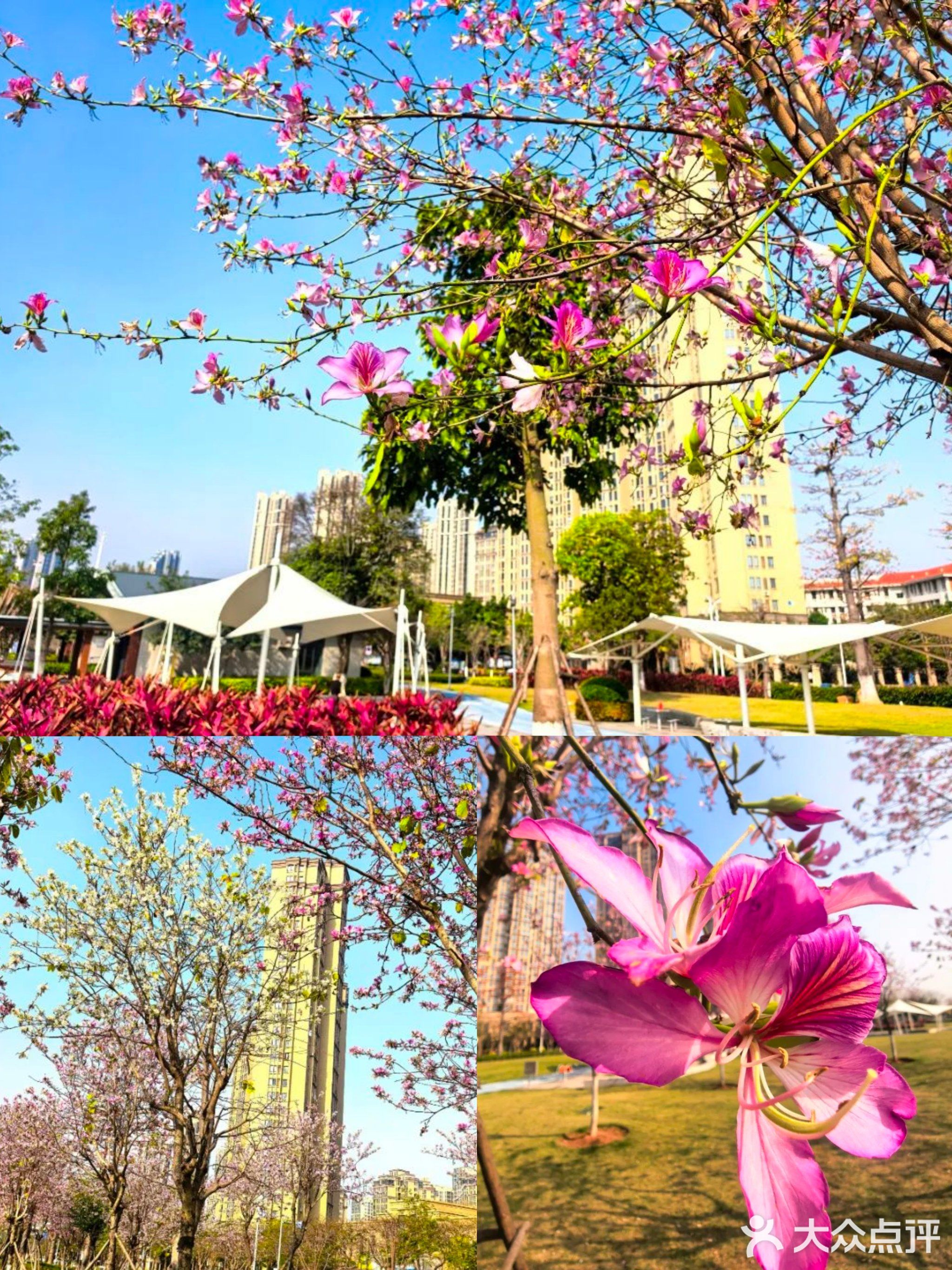 环东浪漫线-紫荆体育公园