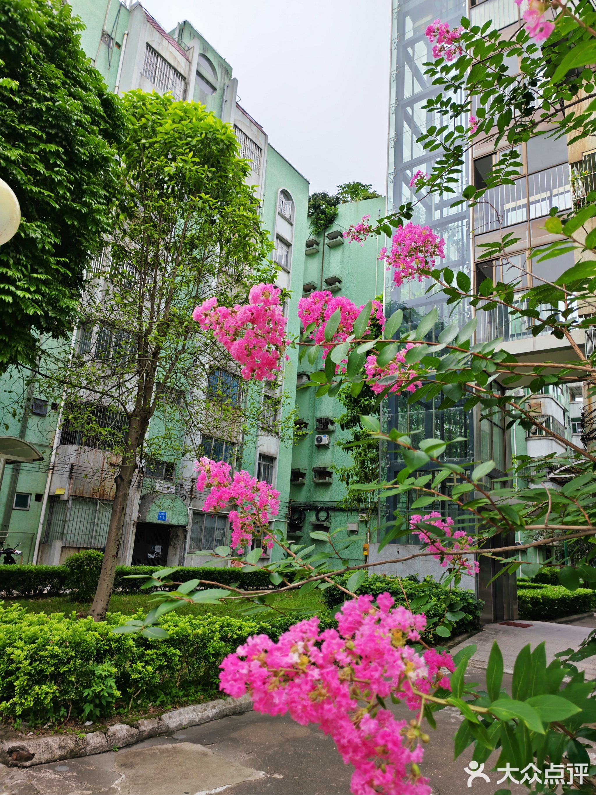 中山市政法幼儿园