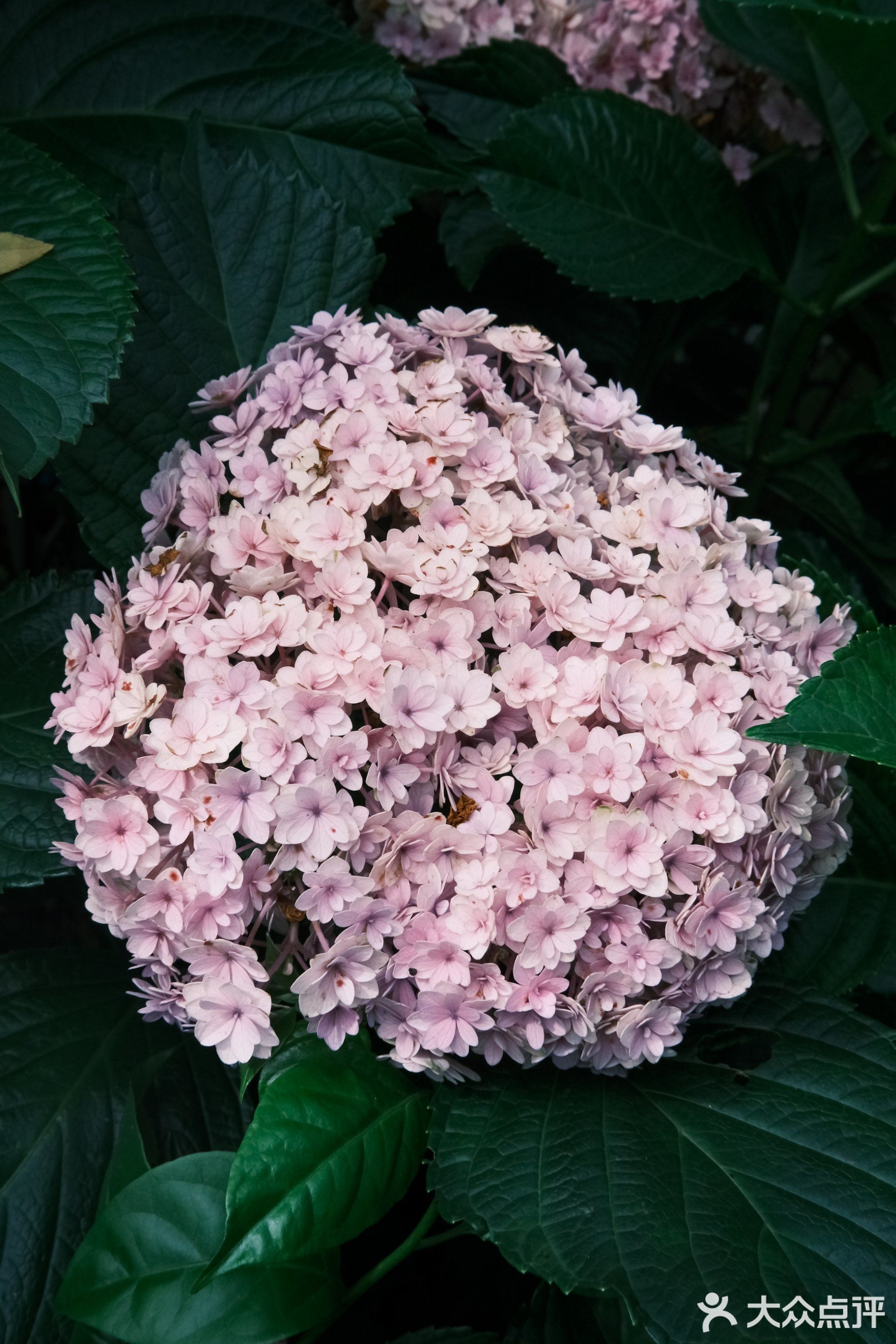 福建省福州北峰中学