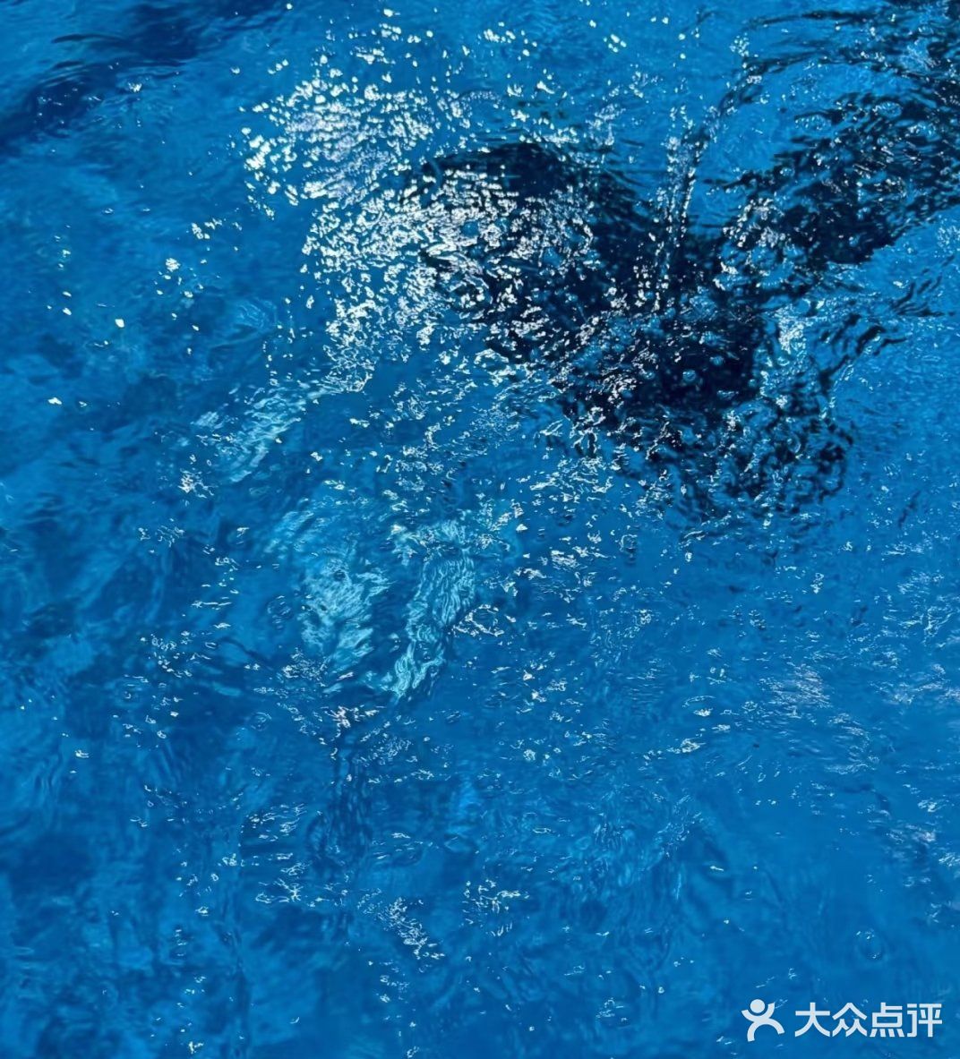 星河泳晟体育馆