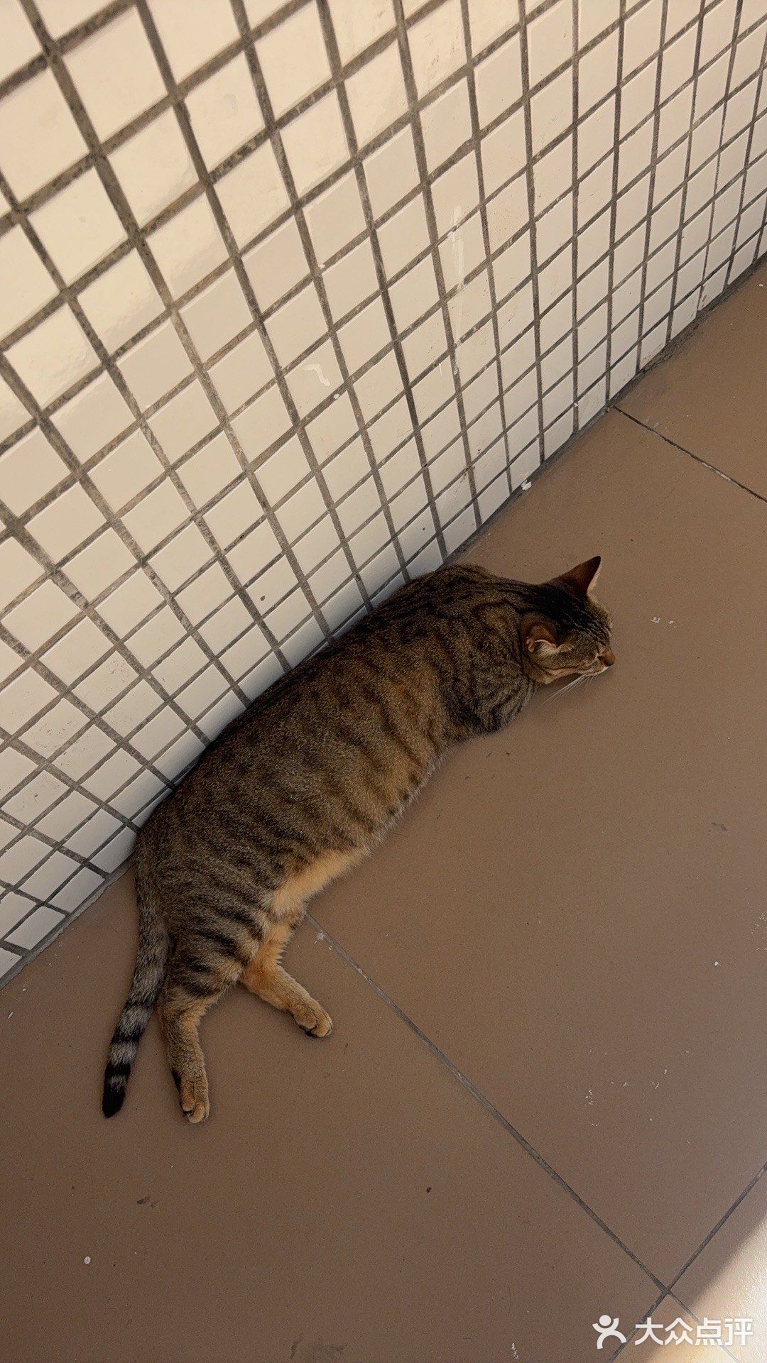 五邑大学游泳池