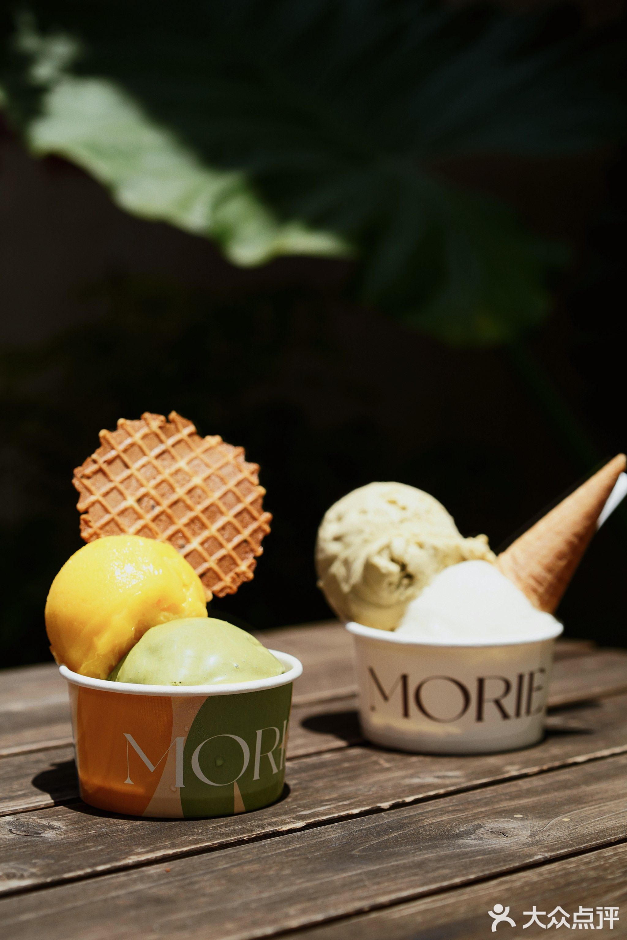 MORIE Gelato