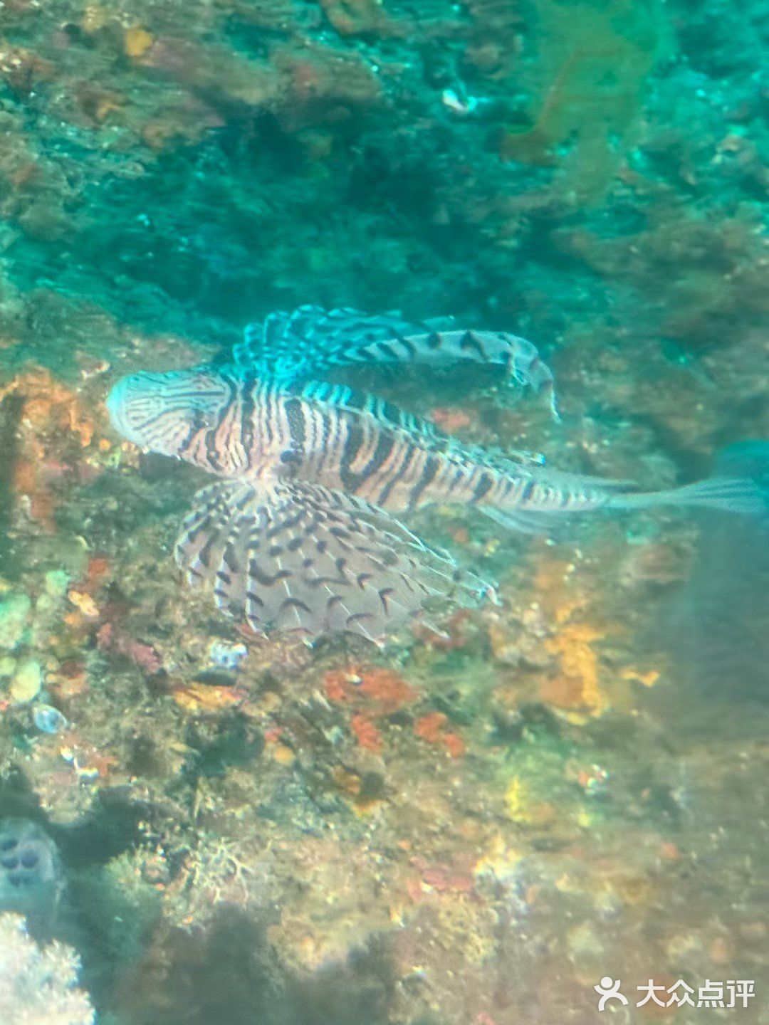 万岛潜水俱乐部(市区)