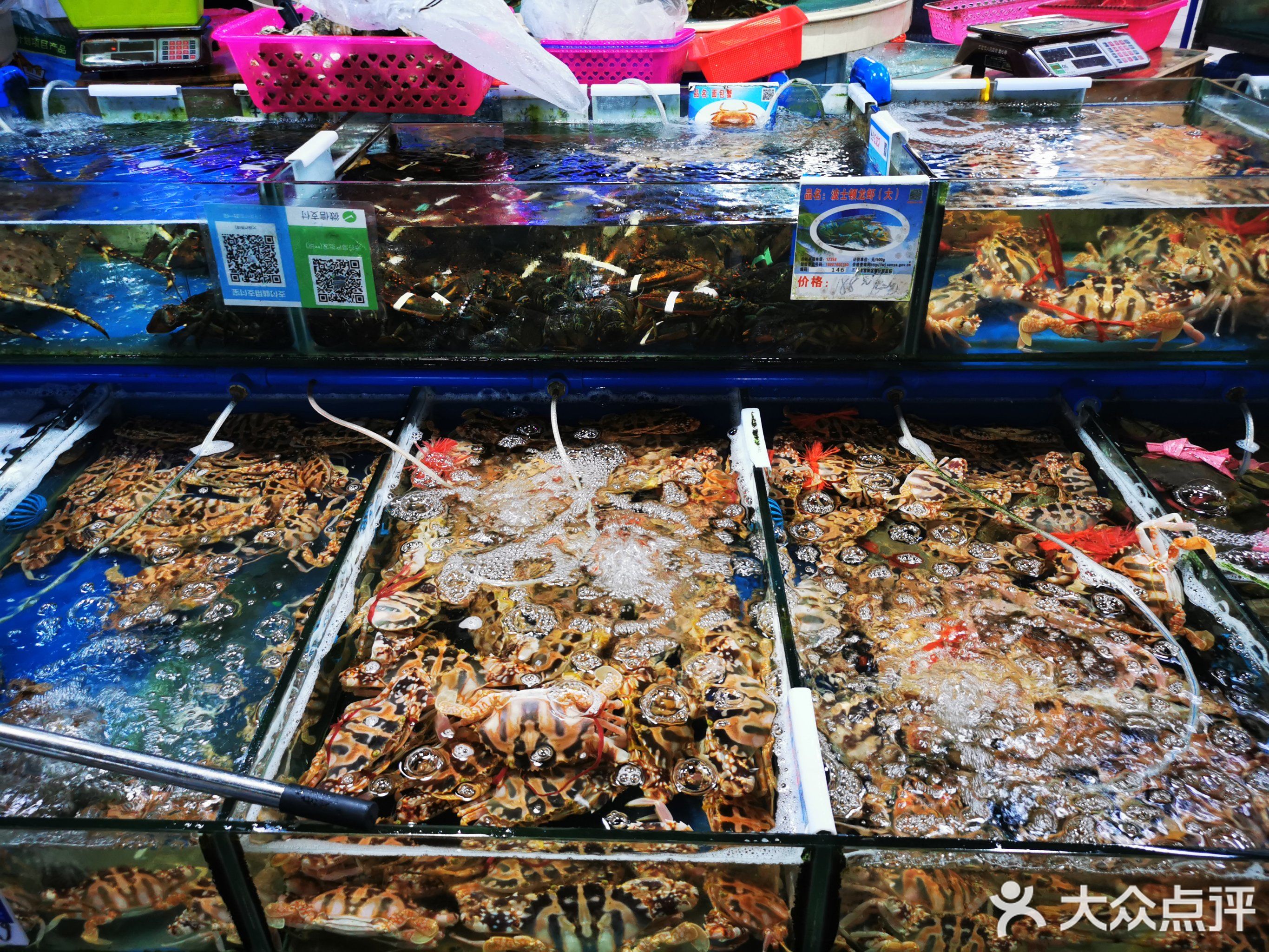 聚鲜阁海鲜加工(八爪鱼广场一店)