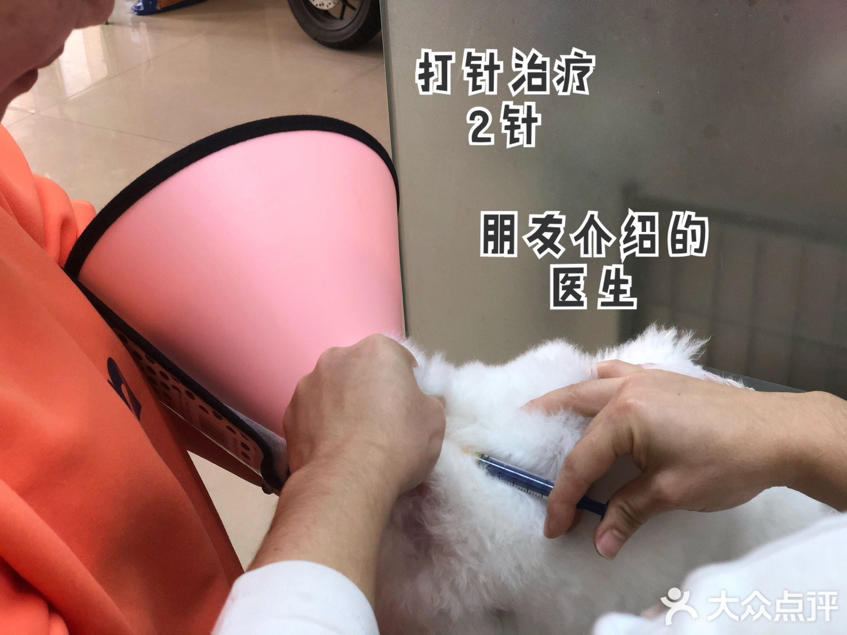 蓝波湾网球场