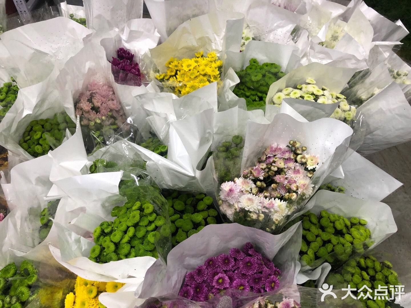 满天星鲜花行