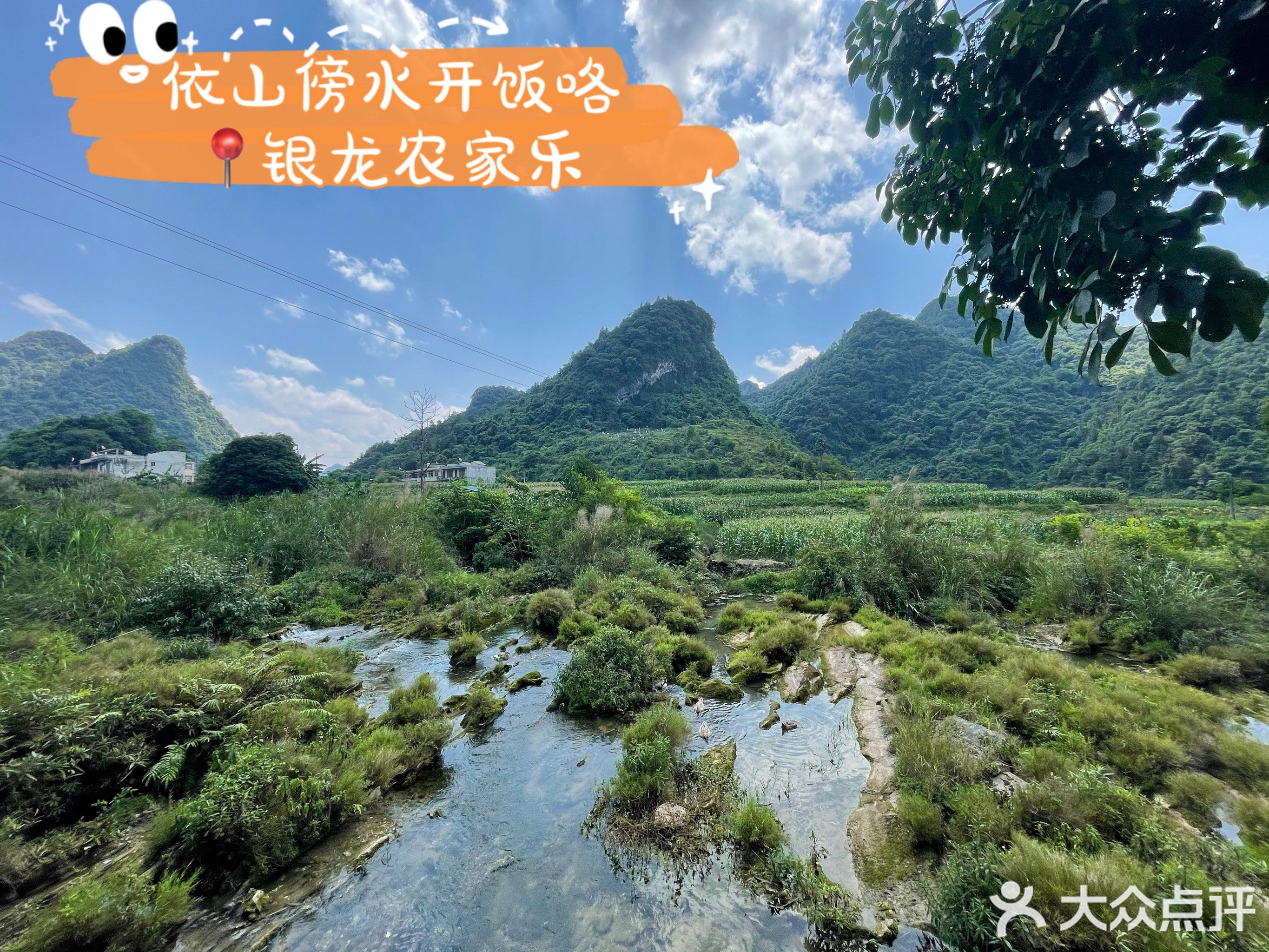 银龙农家乐