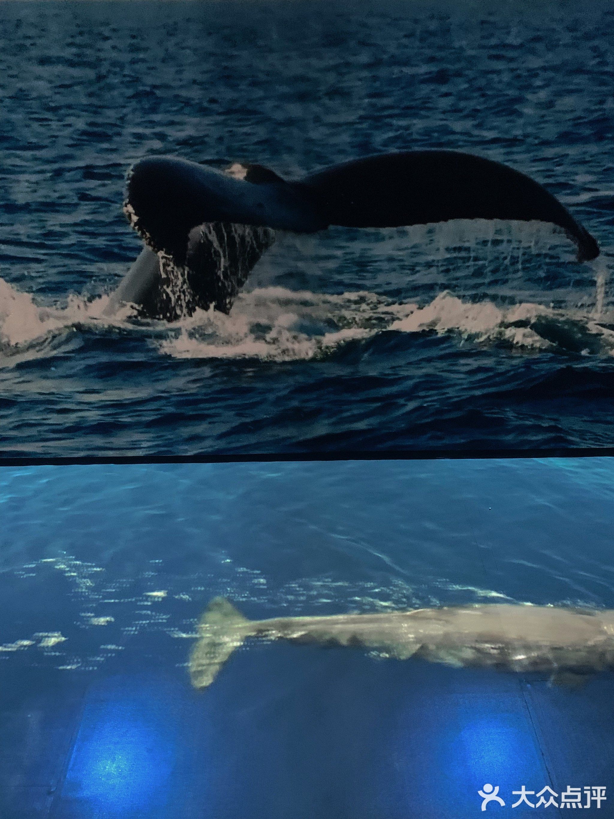 莲福美术馆-东门