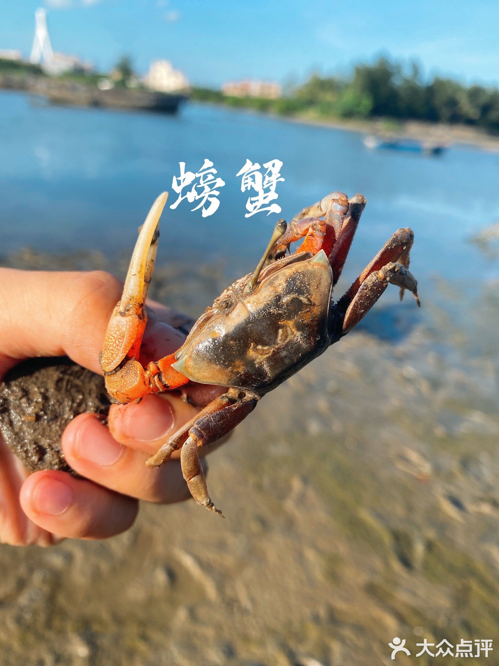 湘食(桂林洋店)