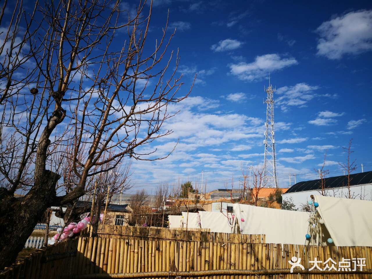 昆明铭汪纪宠物公园