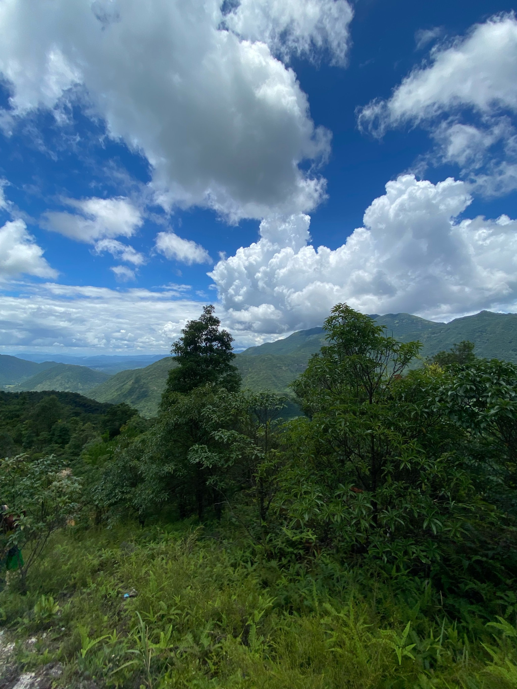 大南山