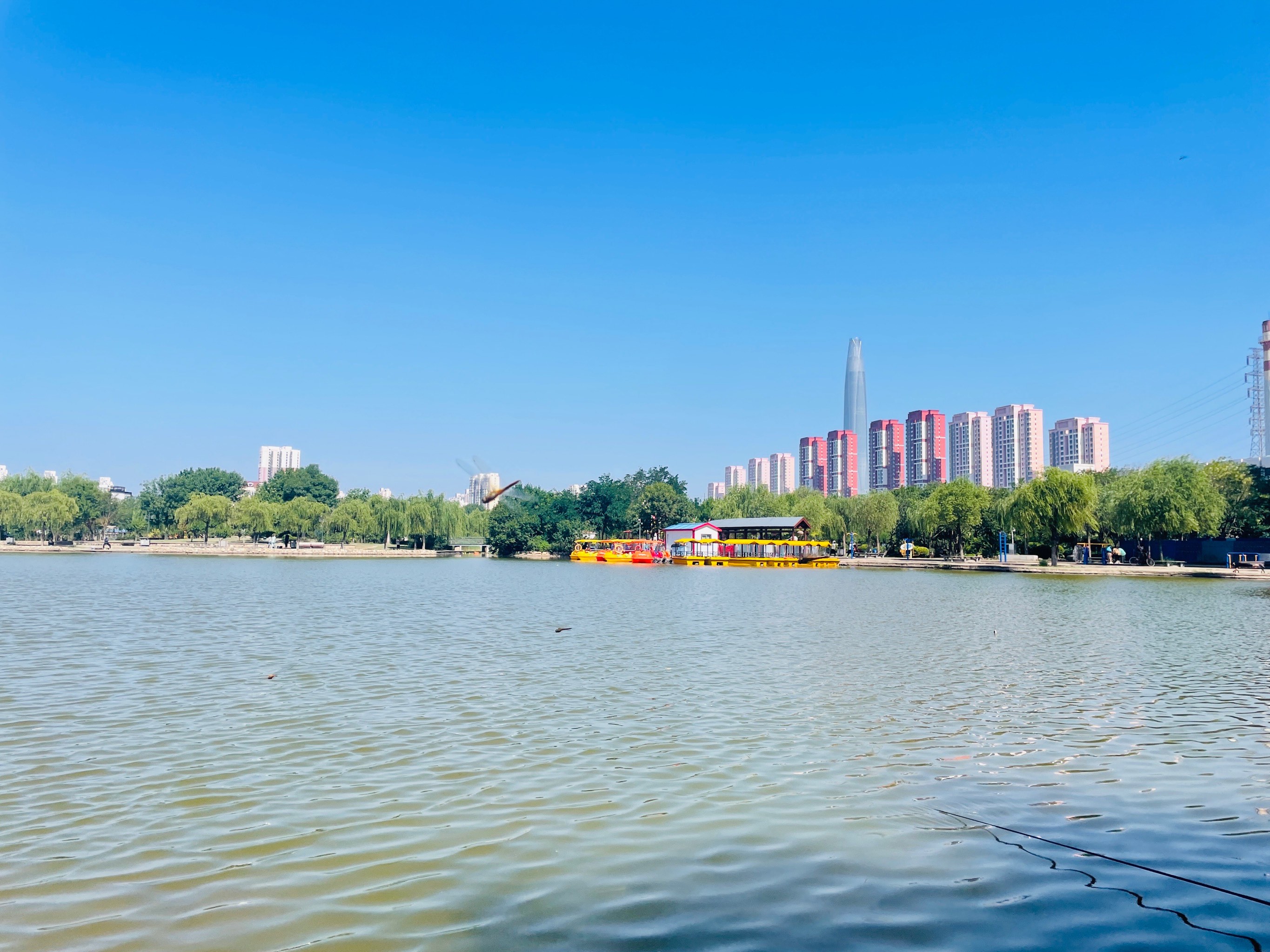 新港公园