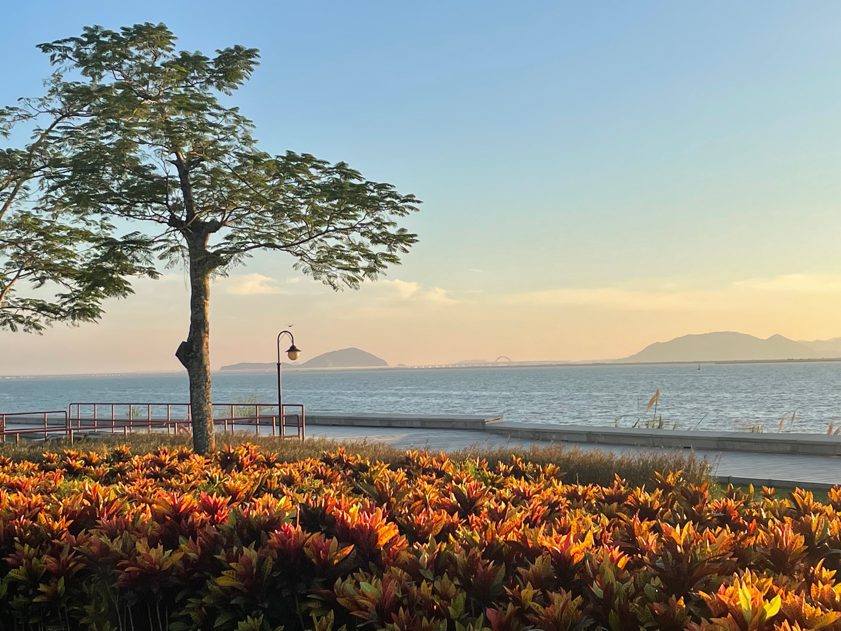 广东省珠海市横琴花海长廊5号驿站(趣汇友自驾游停车点)