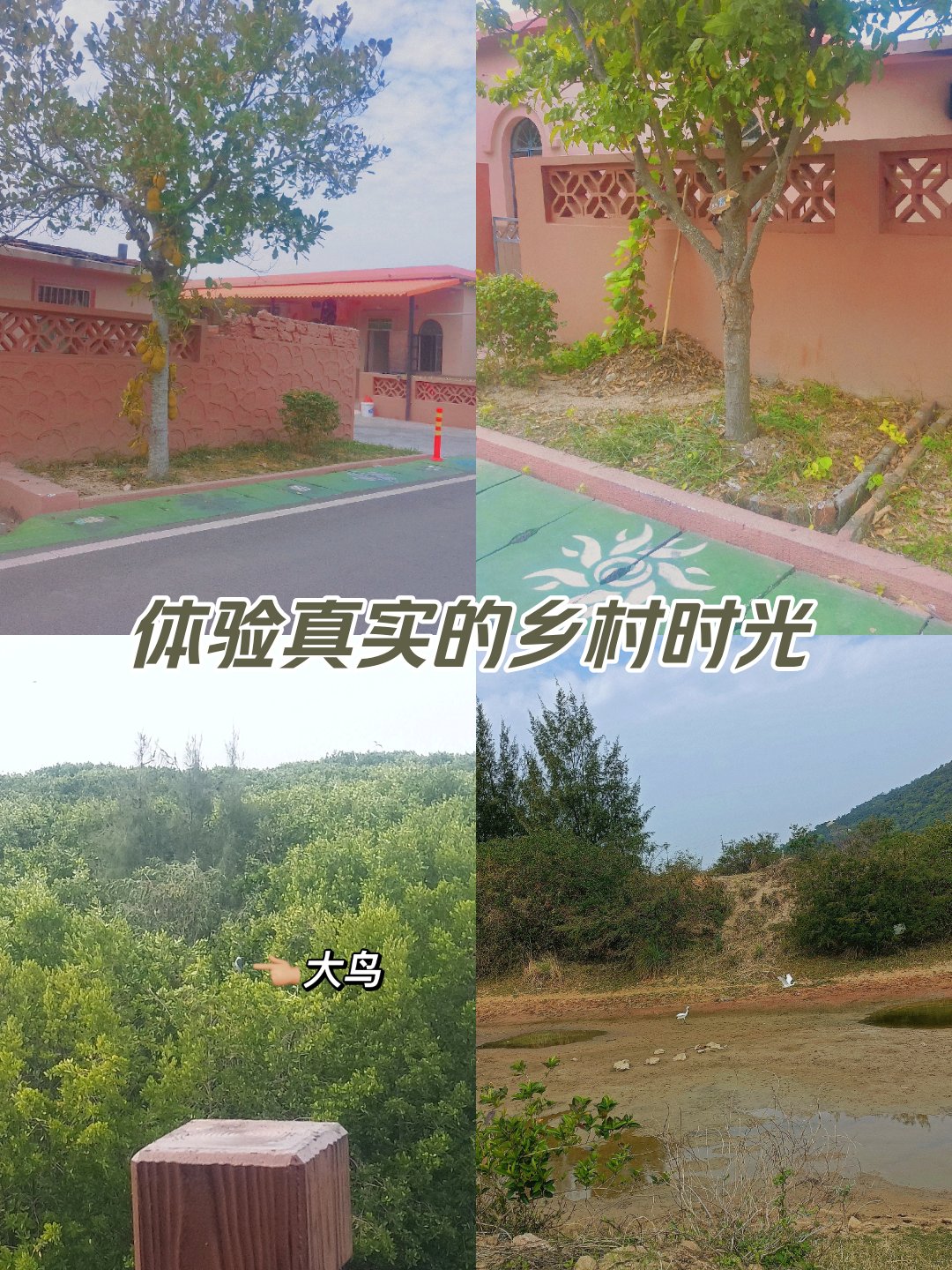 广东省蕉岭华侨农场