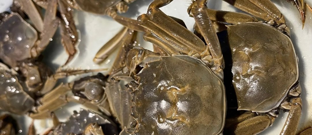 韩御城海鲜烤肉火锅自助餐厅