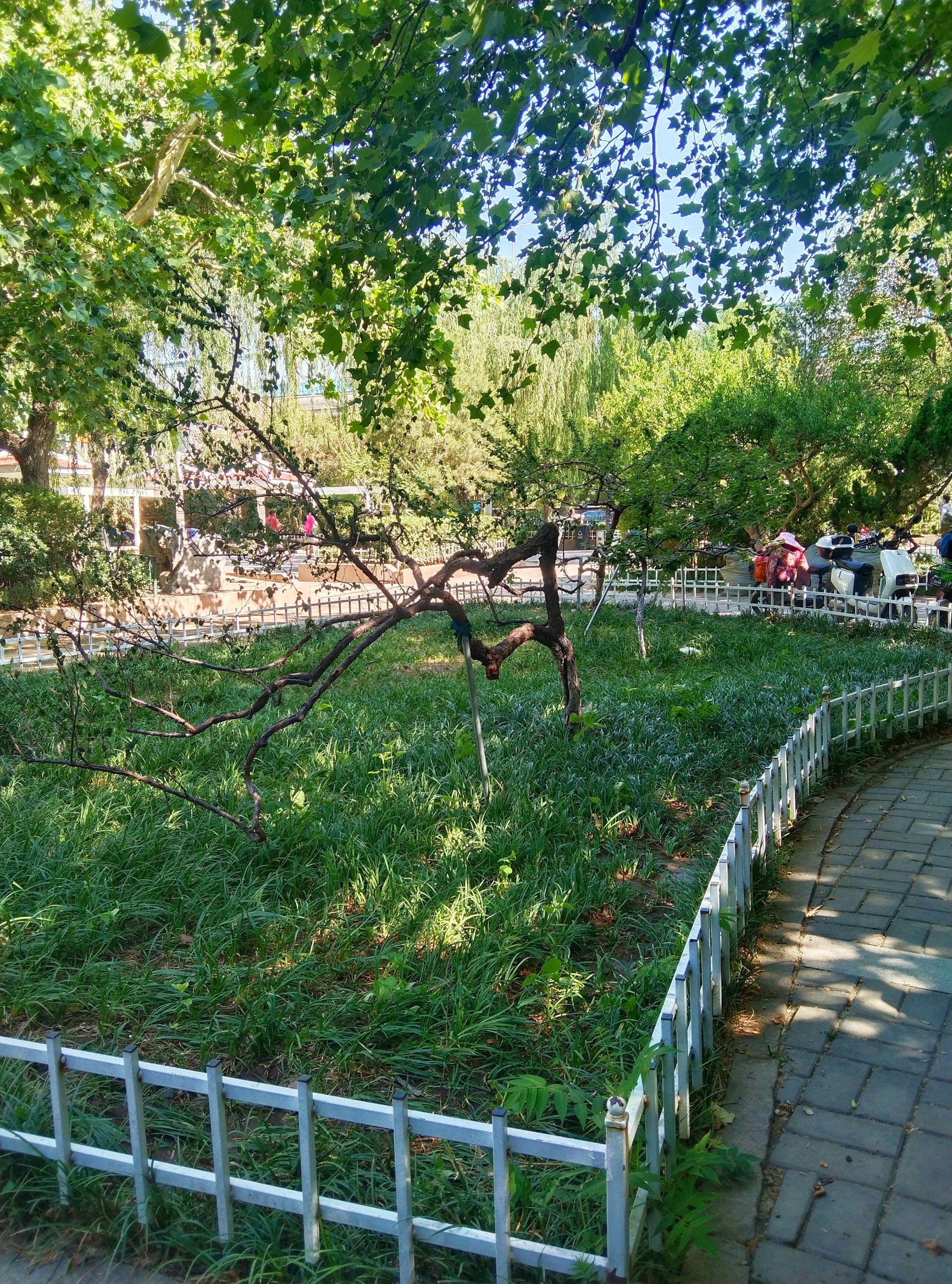 雅园公园
