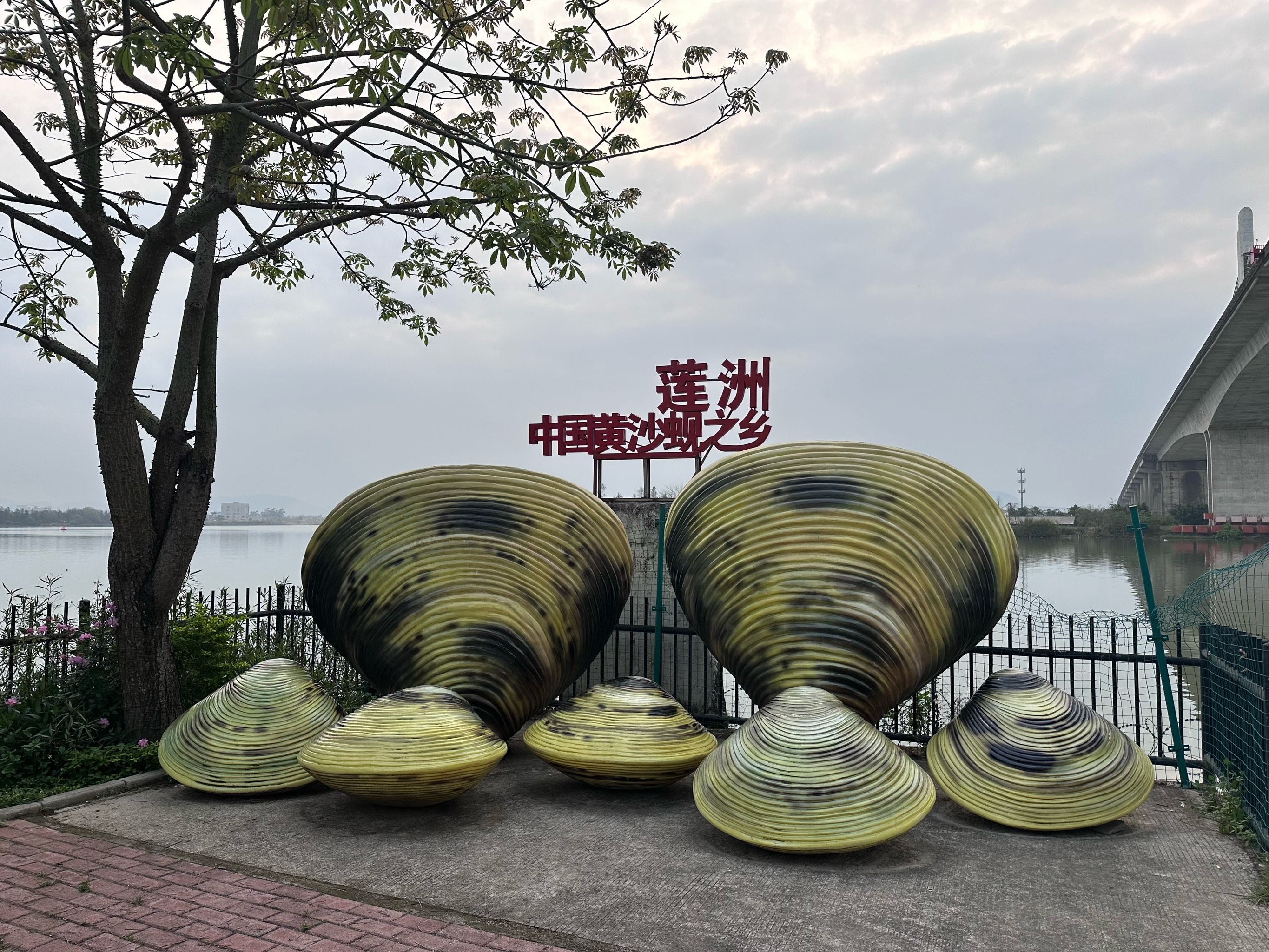 莲洲镇