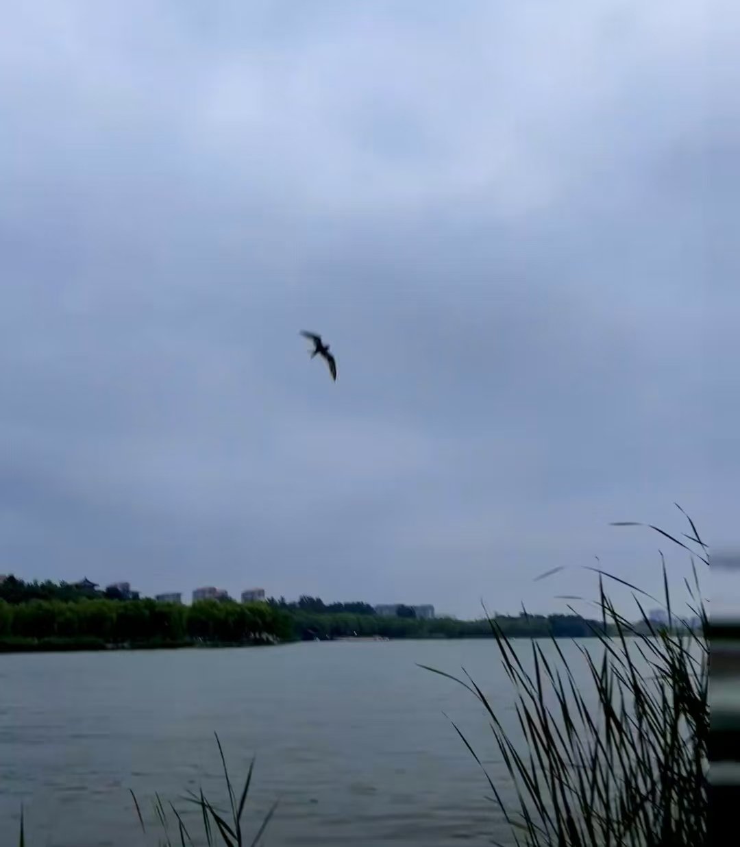 三河公园