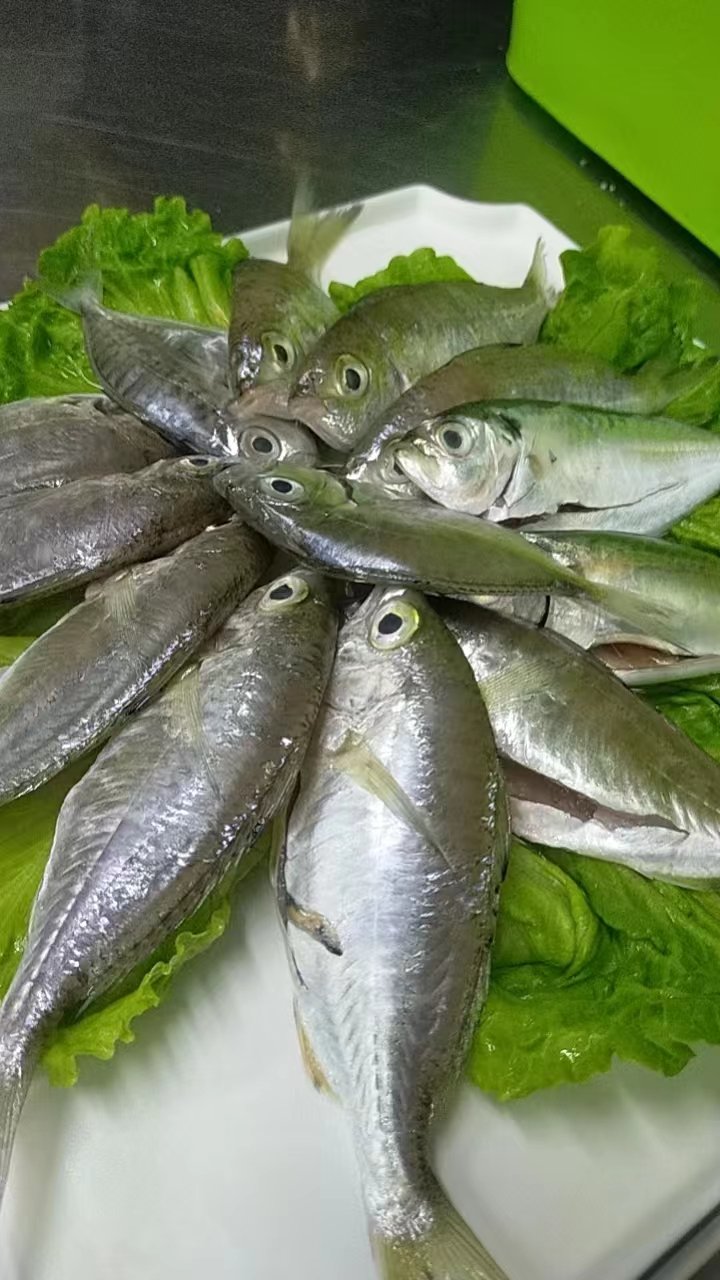 红树林港式茶餐厅(陵水店)