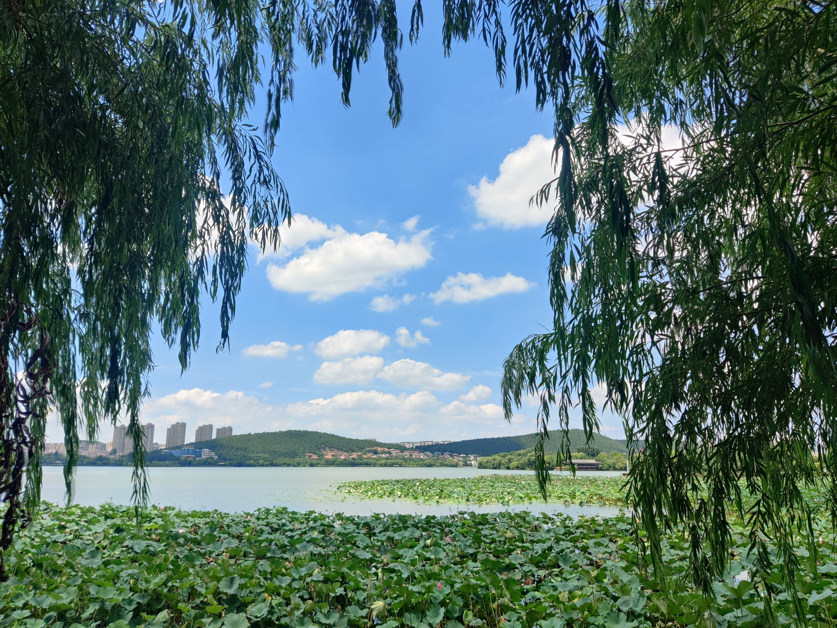 玉龙湖
