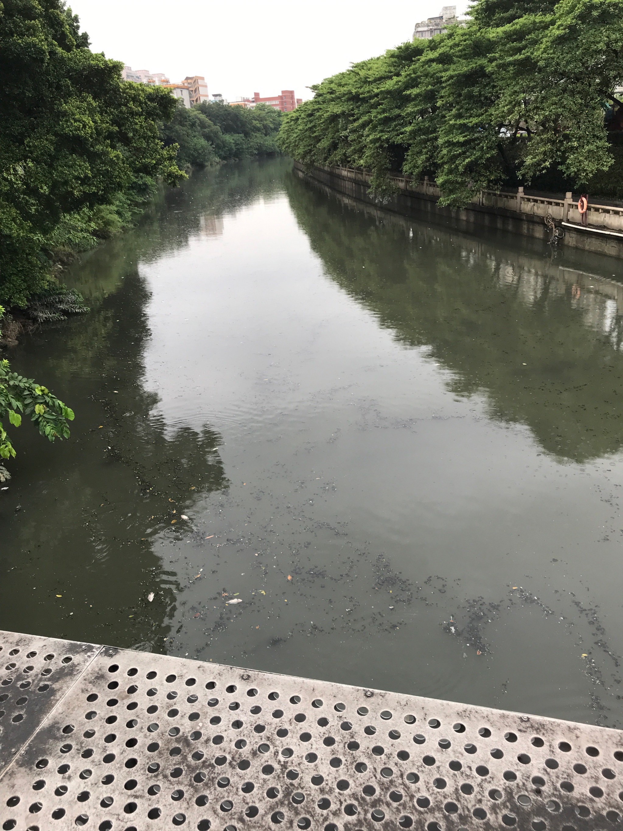 佛山涌