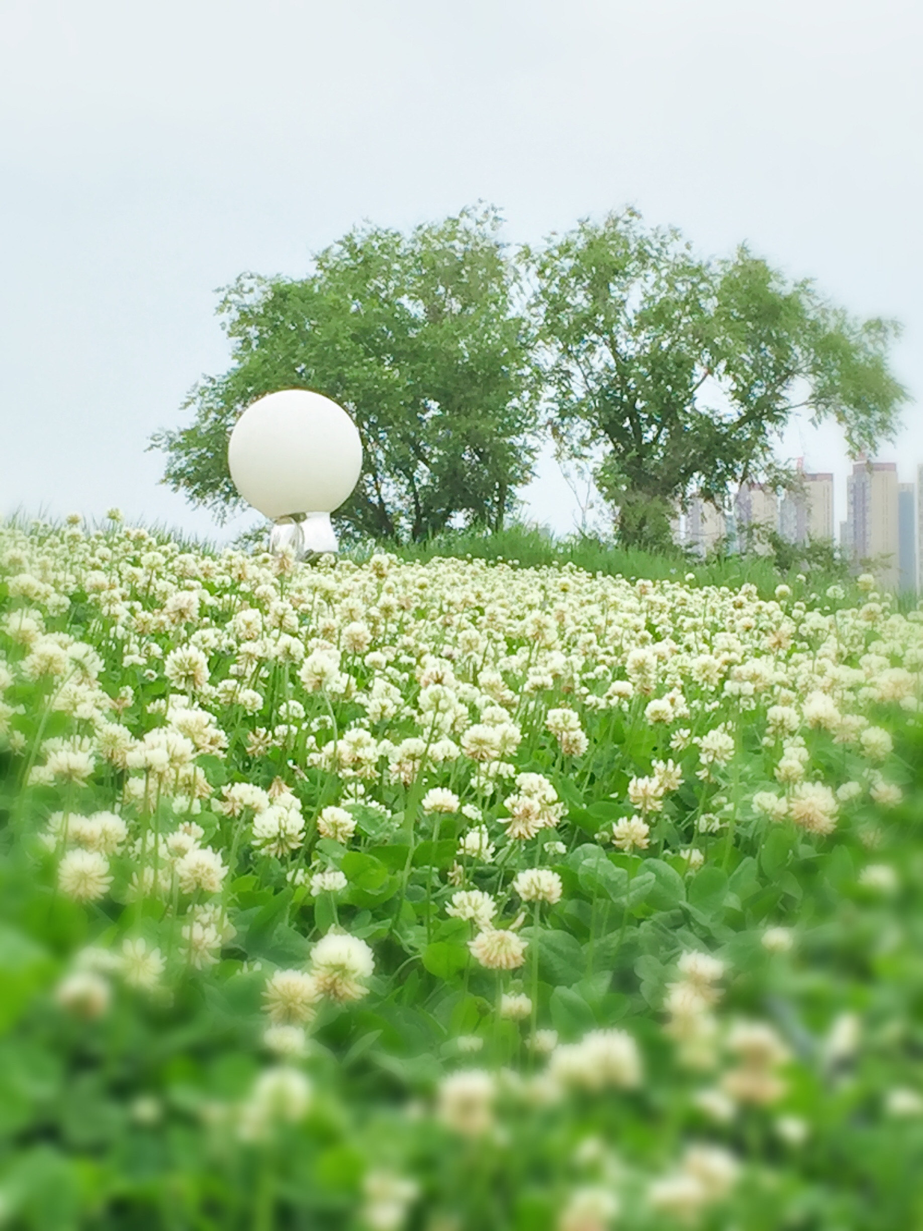 丰满区松花江新城