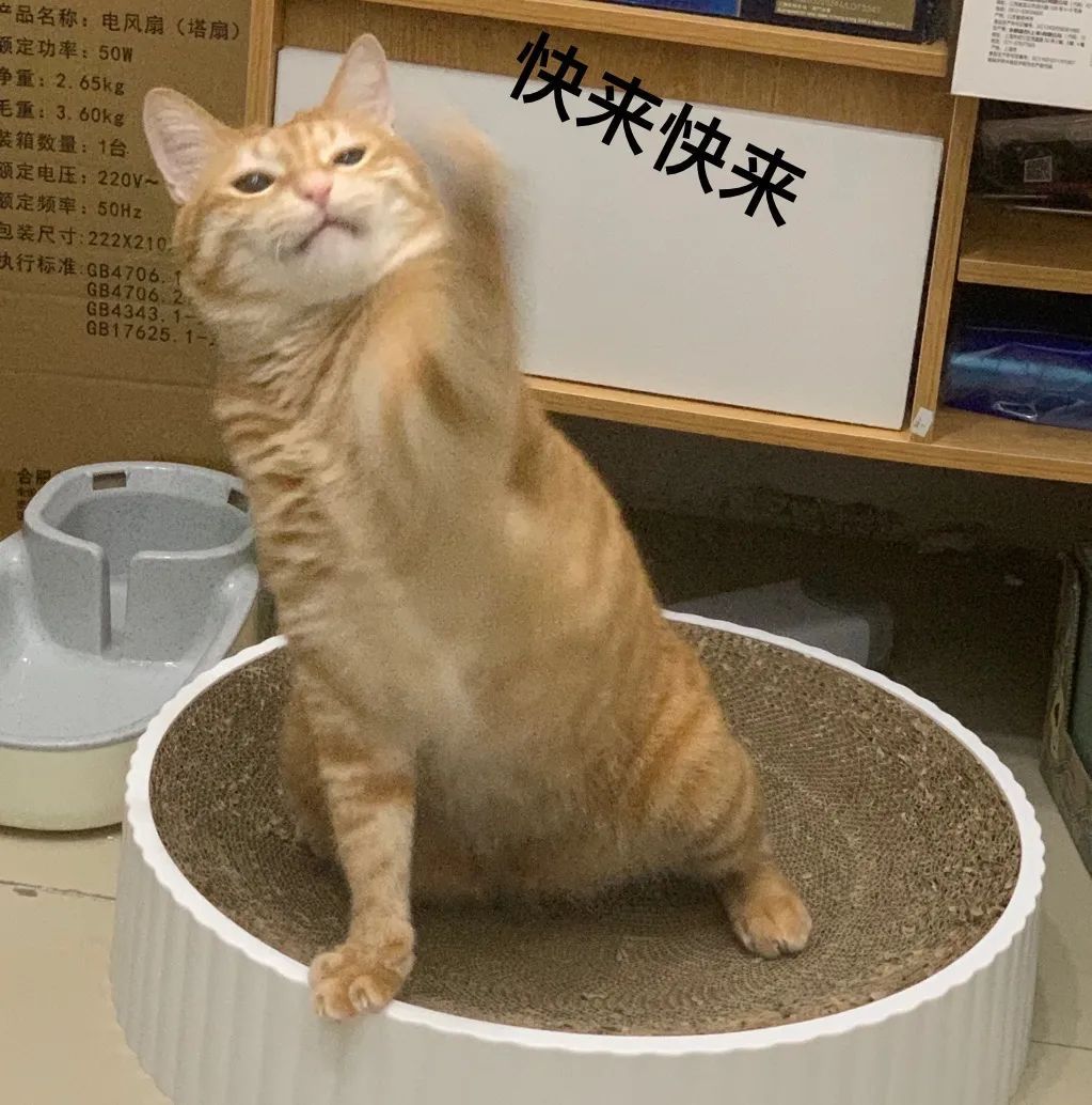 深圳市公安局交通管理局